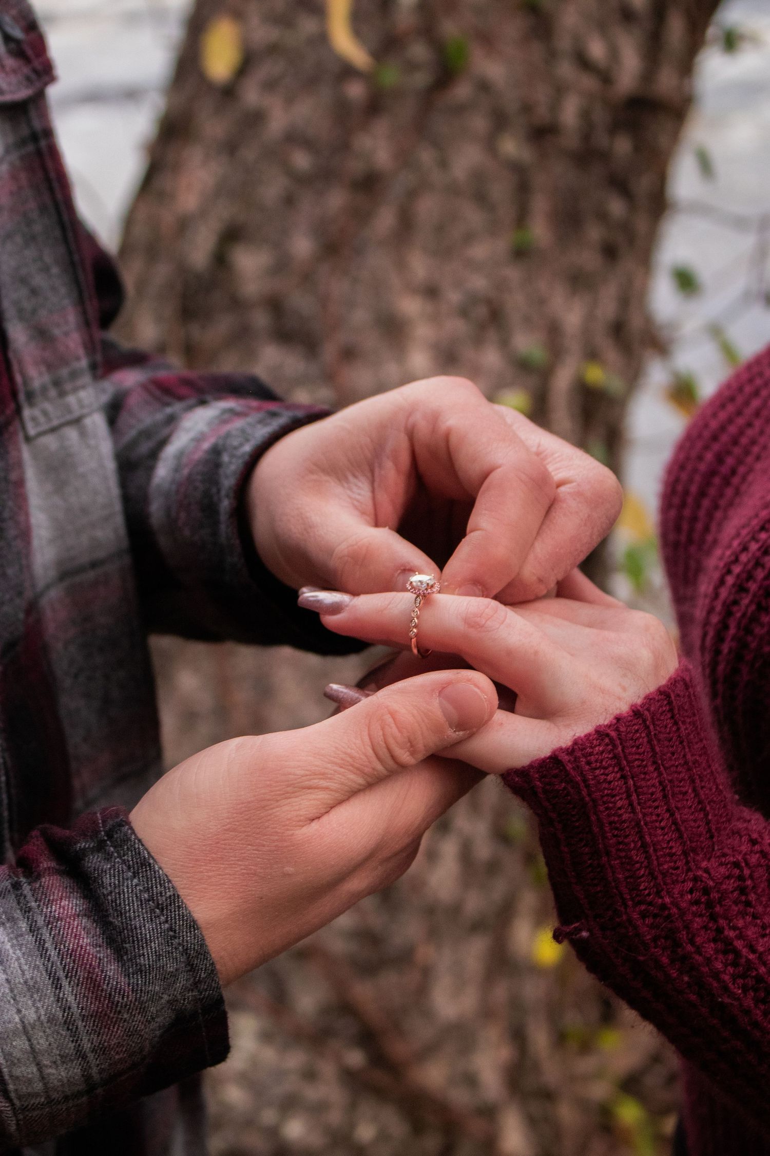 Person placing a diamond engagement ring on partner's finger outdoors near a tree, romantic proposal moment.