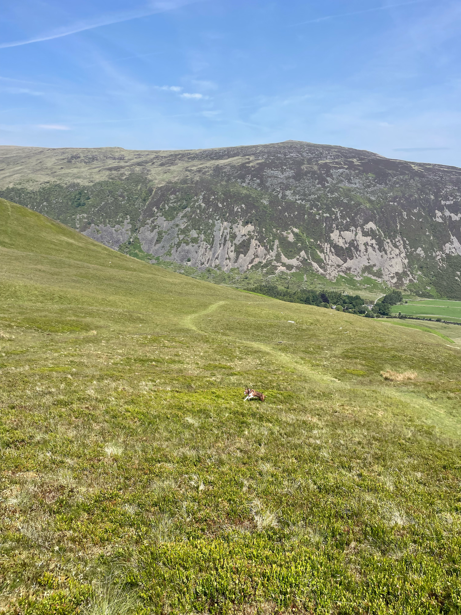bowscale fell pike