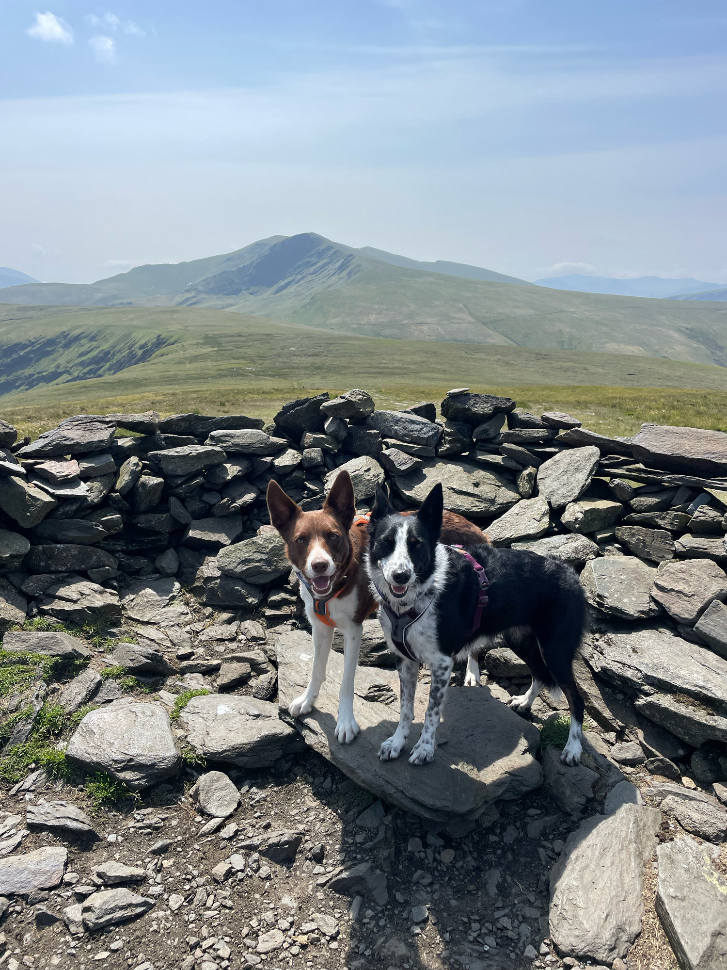 bowscale fell pike
