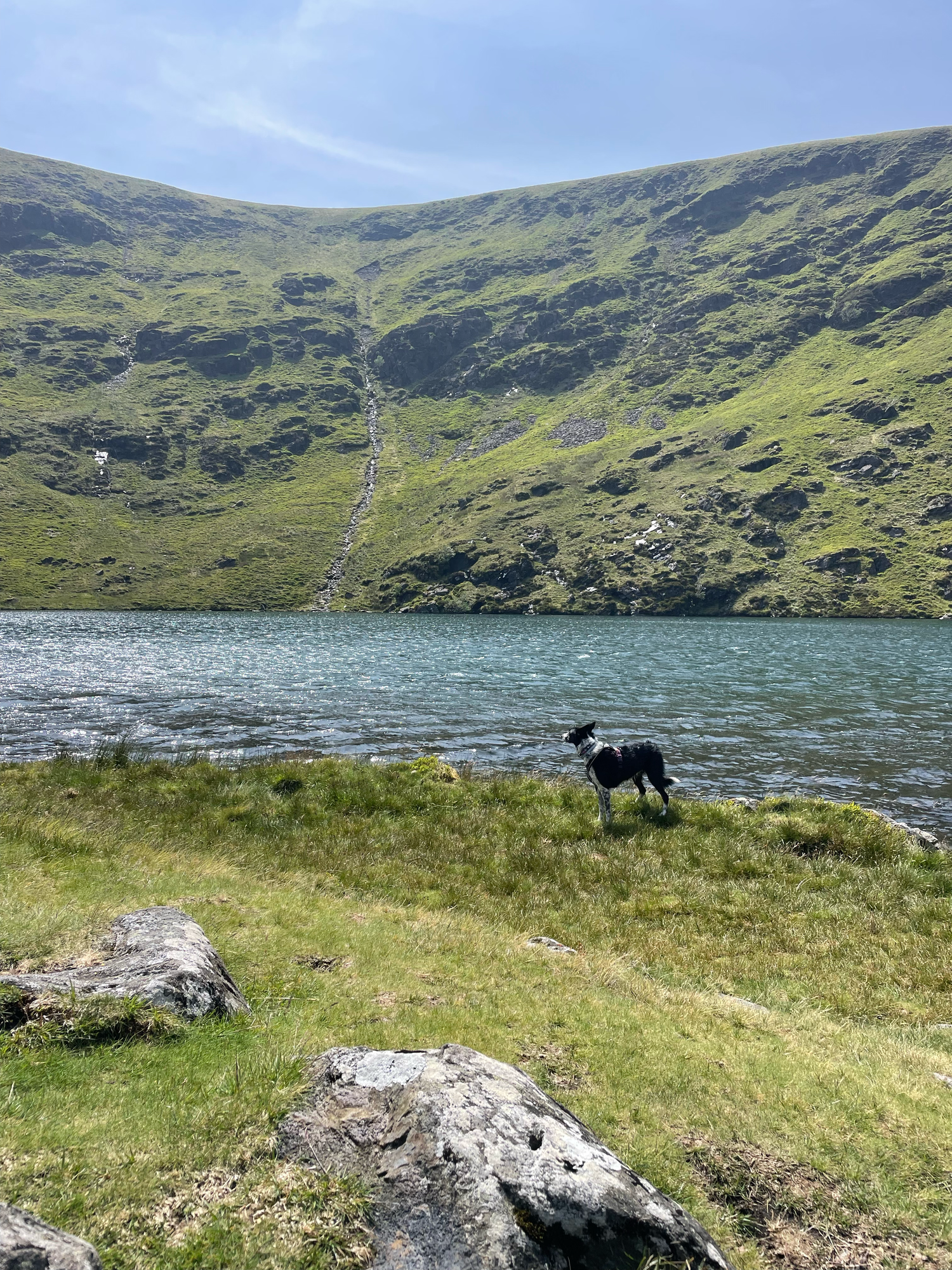 bowscale tarn
