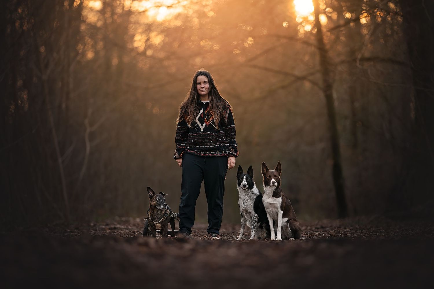 owner and dogs posing for a portrait at golden hour in west woods