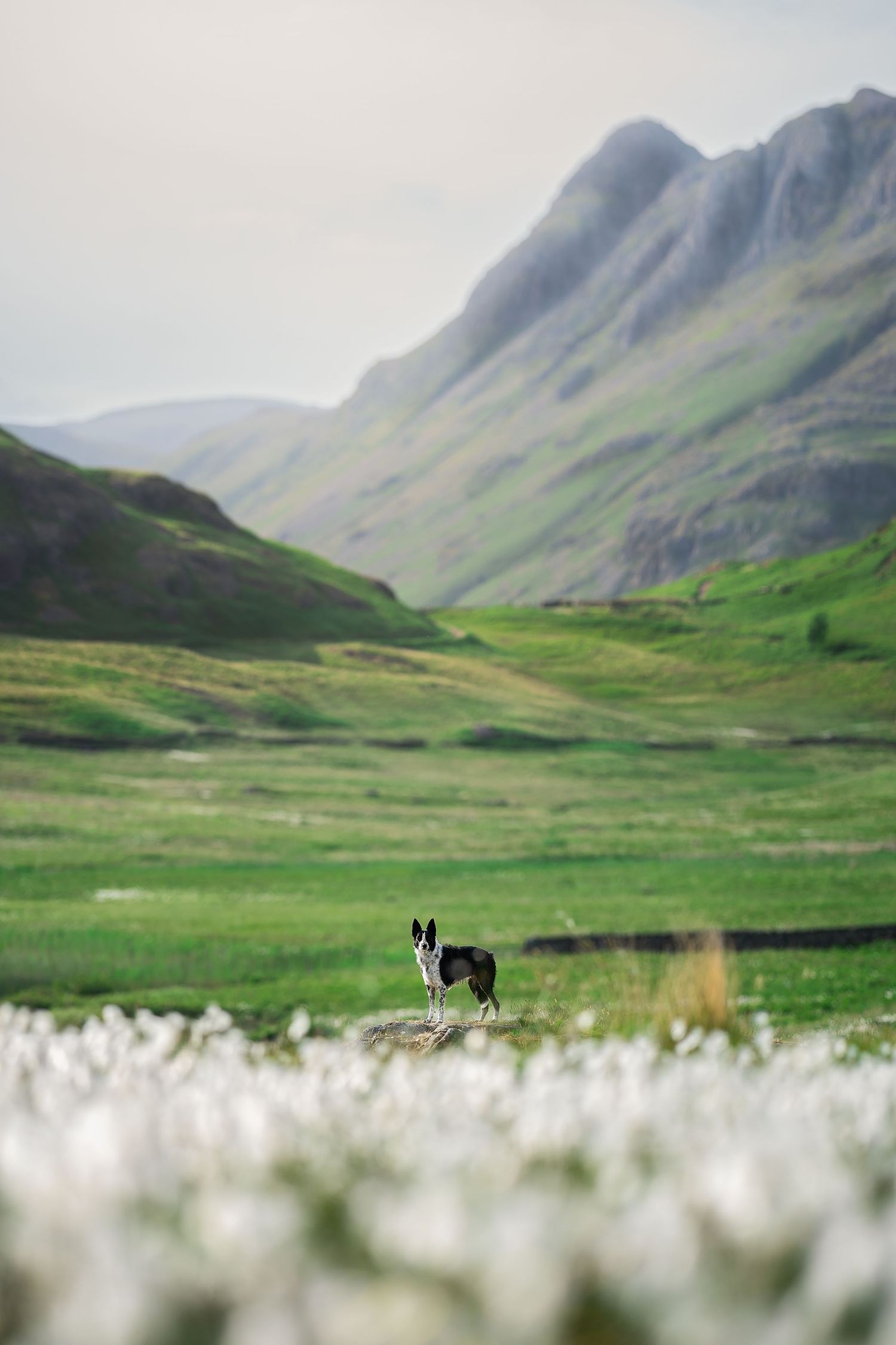 blea tarn in the Lake District spring