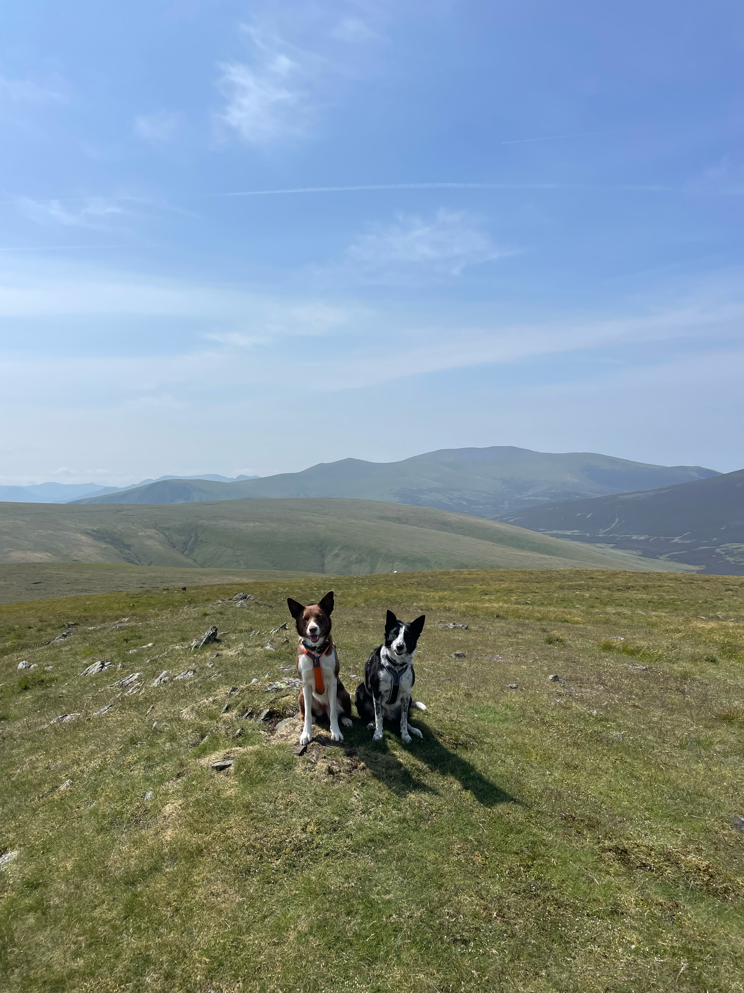 bowscale fell pike