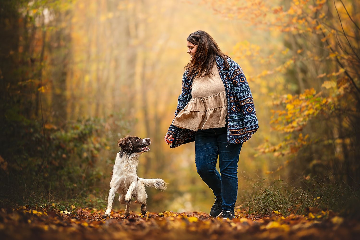 a dog and owner running and playing together in an autumnal wiltshire woodland
