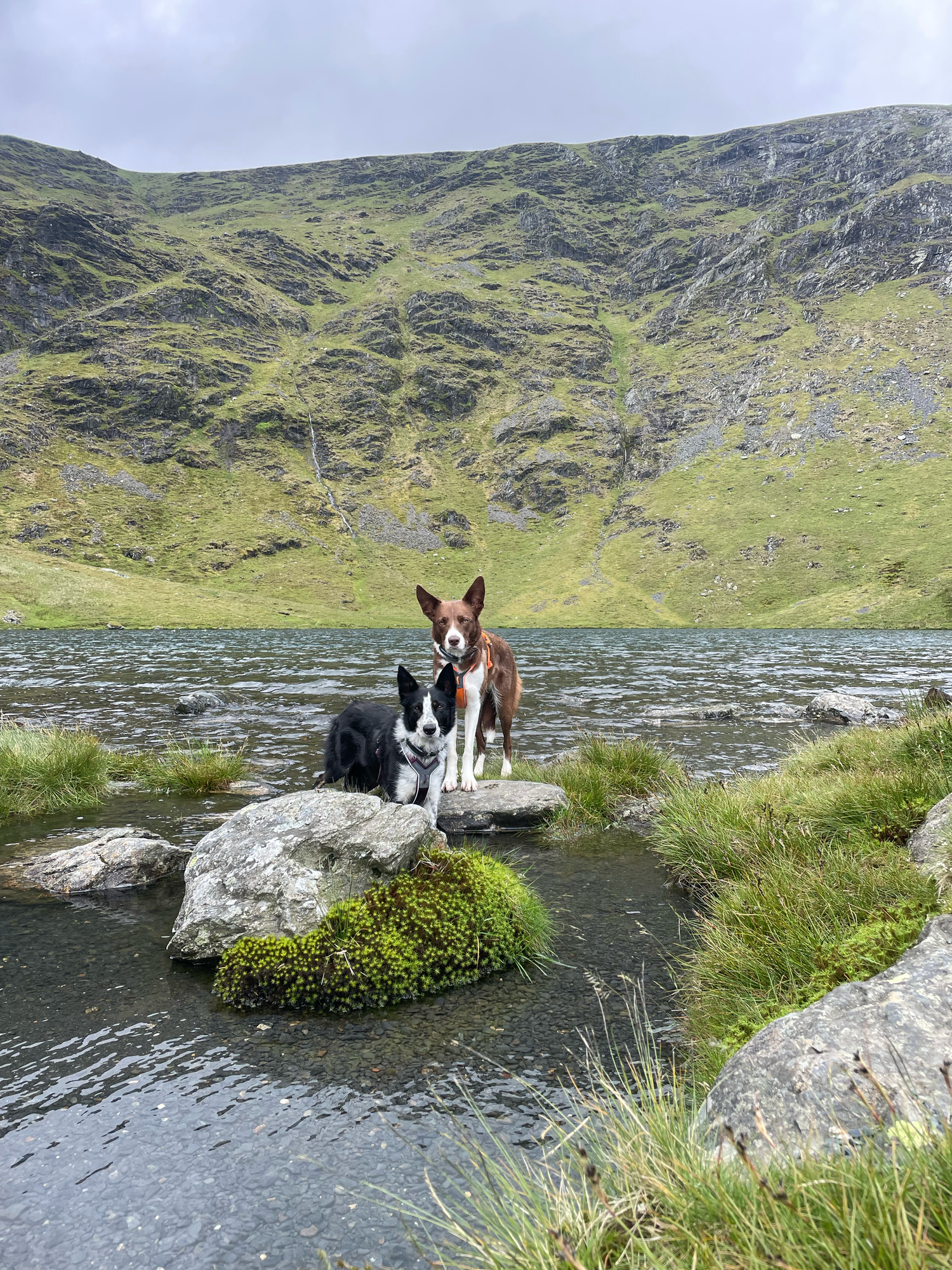 scales tarn