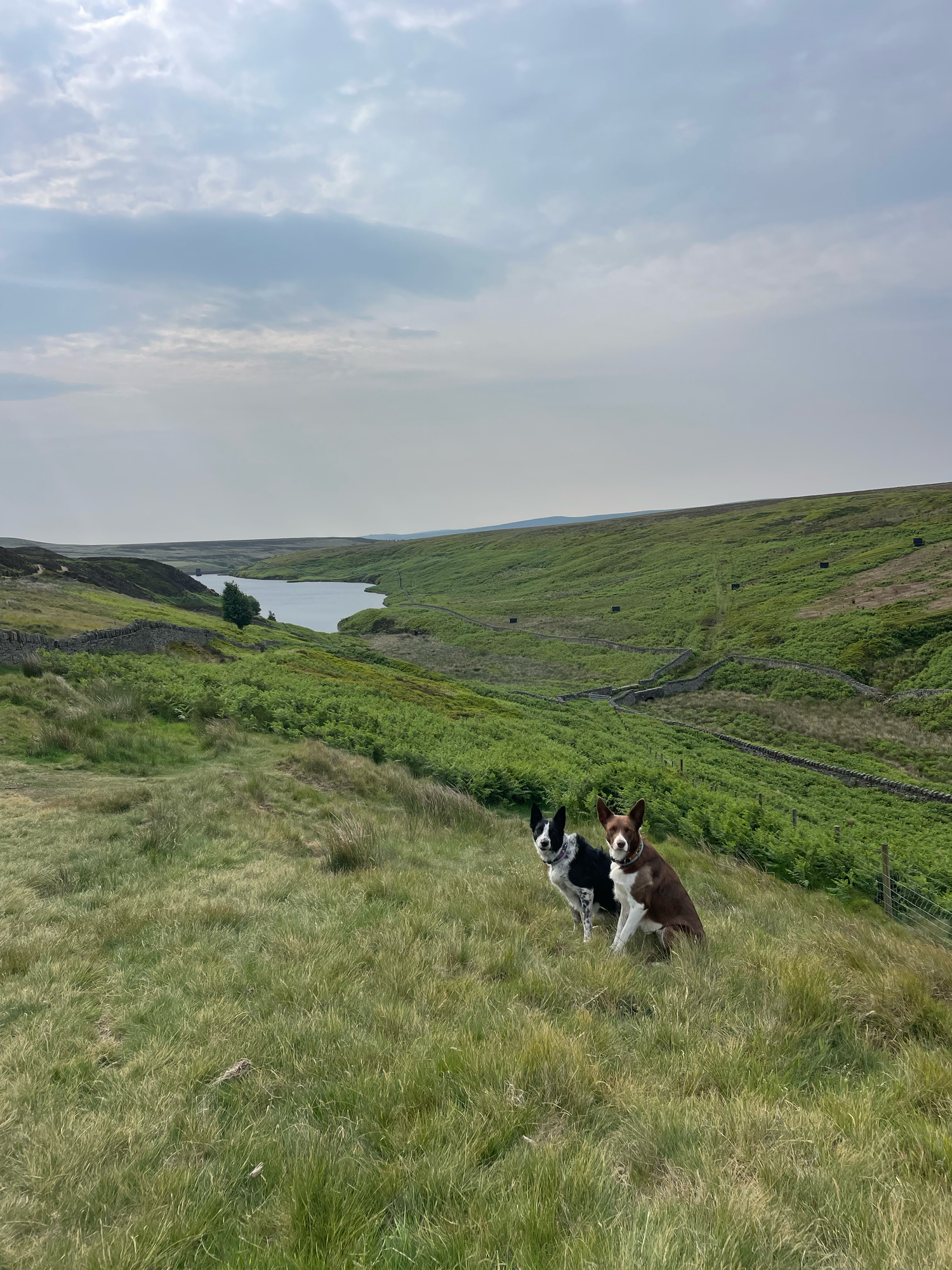 harden quarry