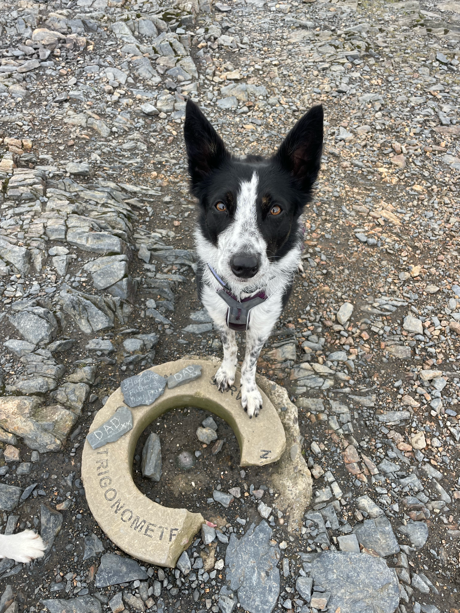 blencathra trip point on fathers day