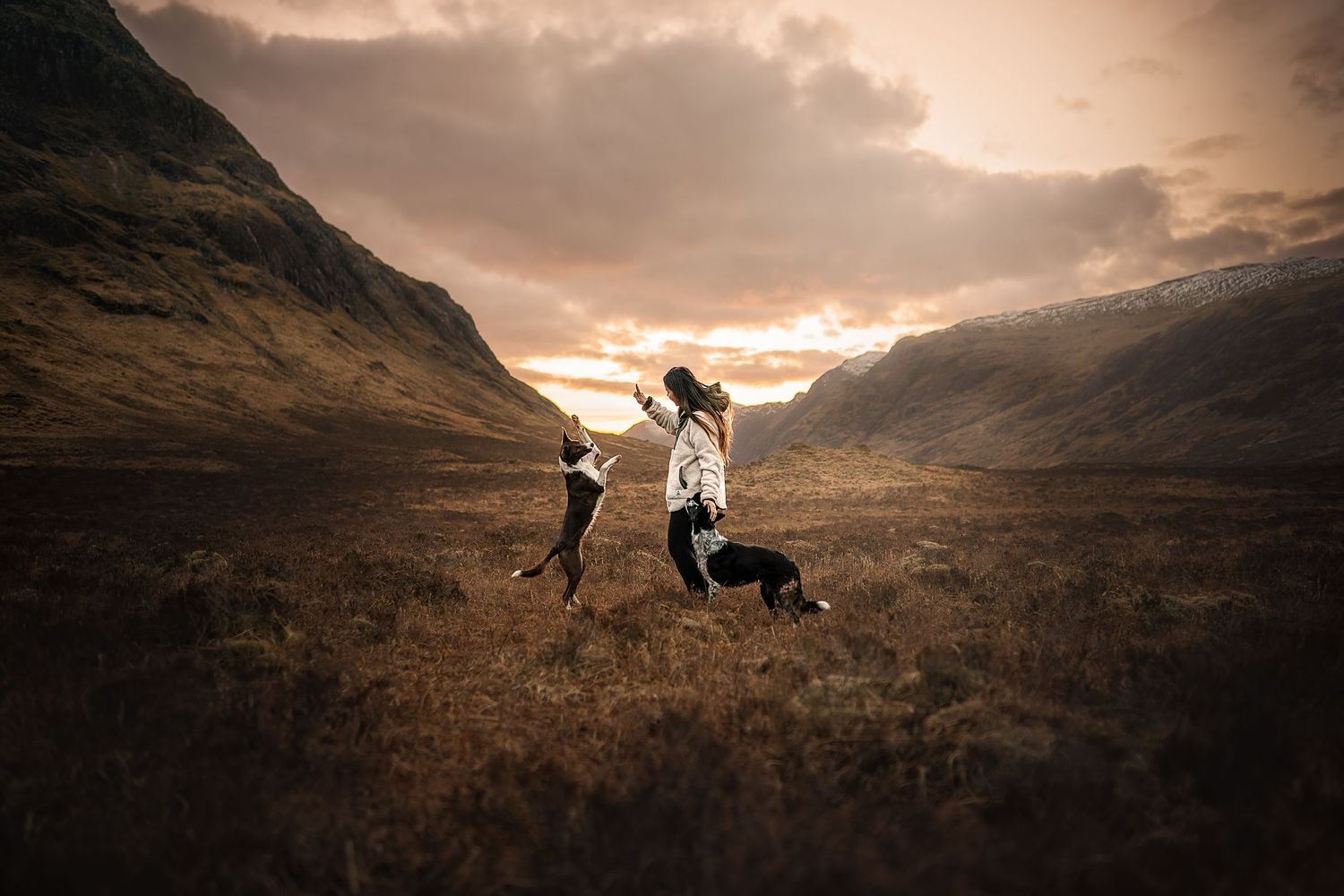 owner and border collies playing with mountains behind them in glencoe, scotland