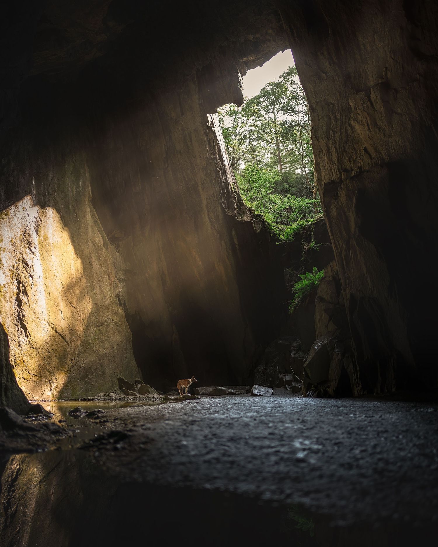 cathedral cave Lake District langdale
