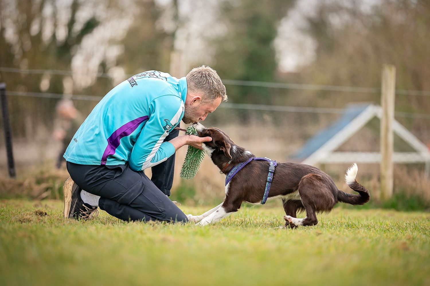 a handler and his dog having a play during agility training