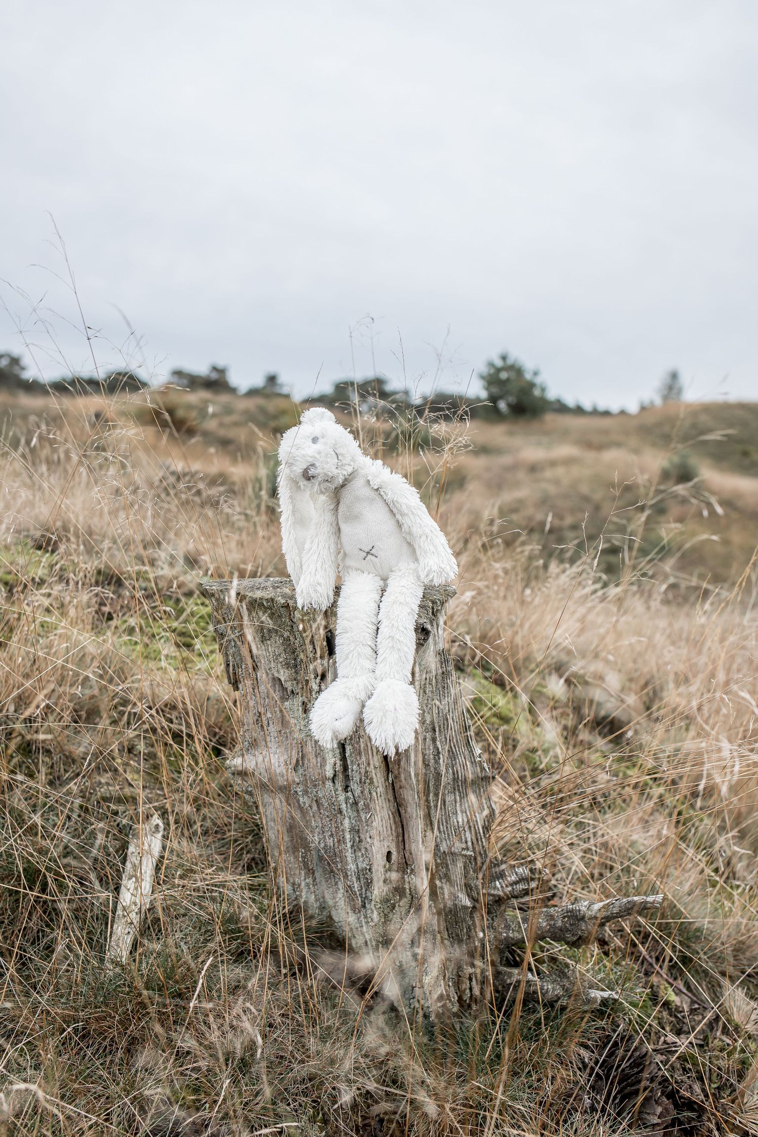 A worn white stuffed bunny toy sits on top of a weathered wooden post in a field.