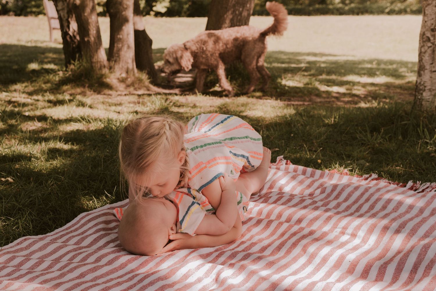 A small child lies on a red and white striped picnic blanket in dappled sunlight while a dog plays in the background.