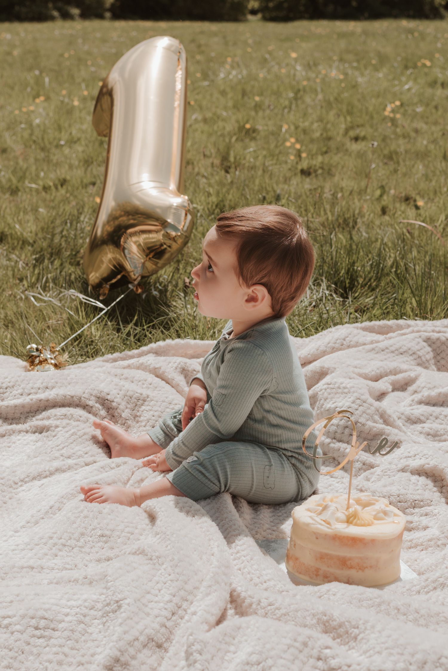 A toddler sitting on a blanket outdoors with a silver number one balloon and birthday cake.