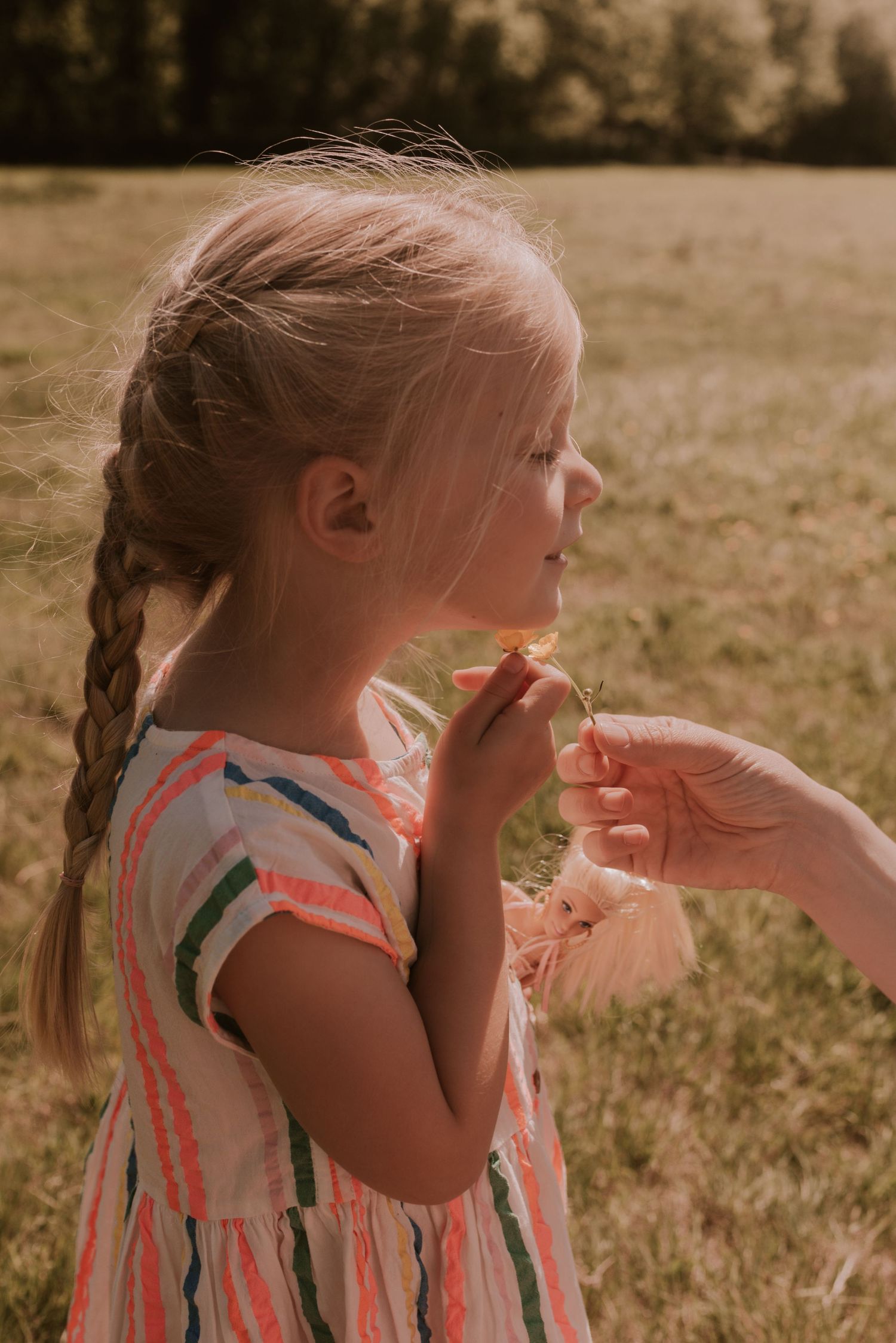 A child in a striped dress enjoys finding flowers in golden afternoon sunlight.