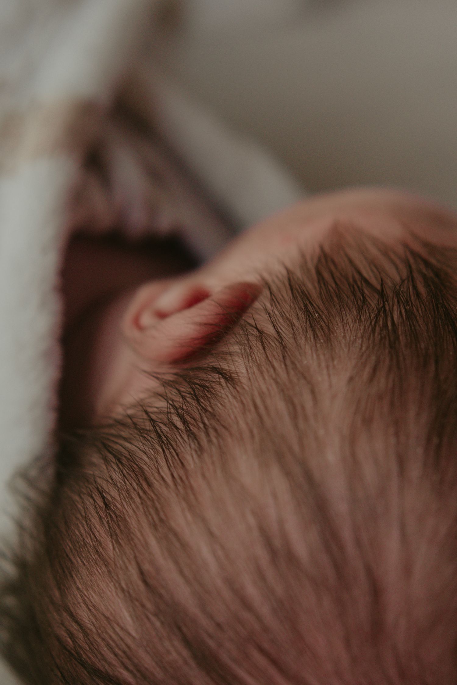 Close-up macro shot showing soft brown hair of a sleeping baby.