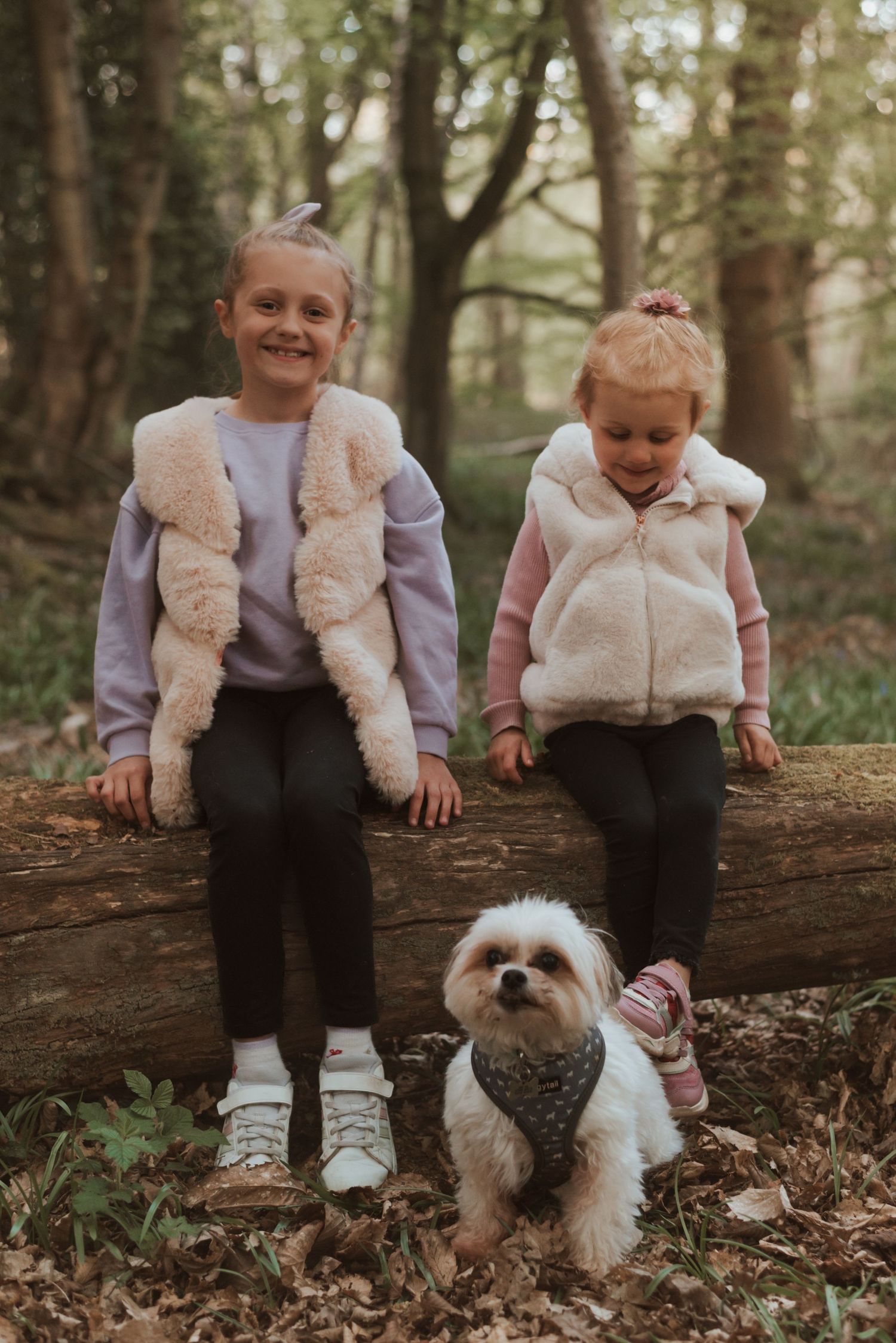 Two children sitting on log in forest with small white fluffy dog wearing harness.