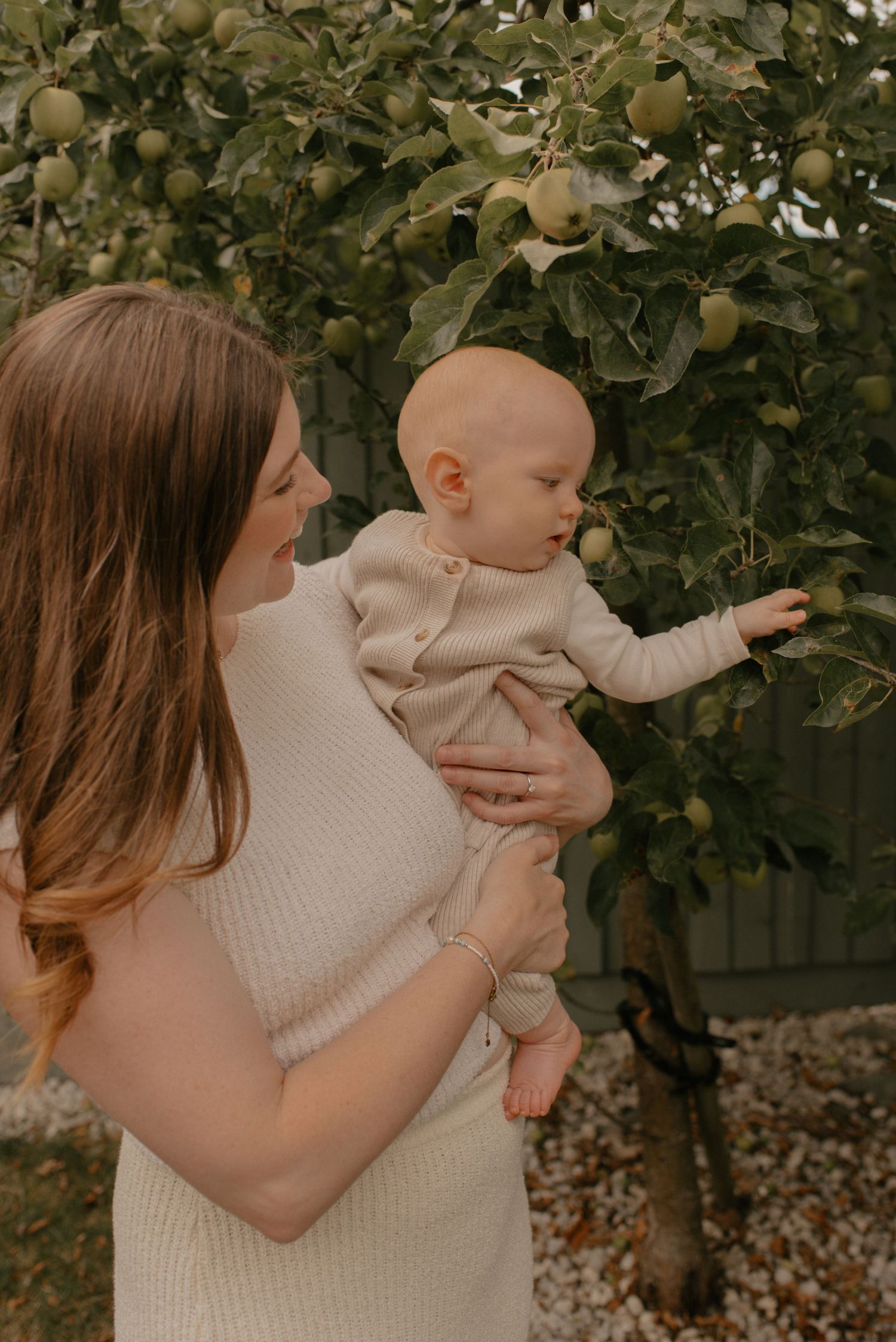 A tender moment captured in an apple orchard as a baby reaches up to touch fruit on the tree while being held.