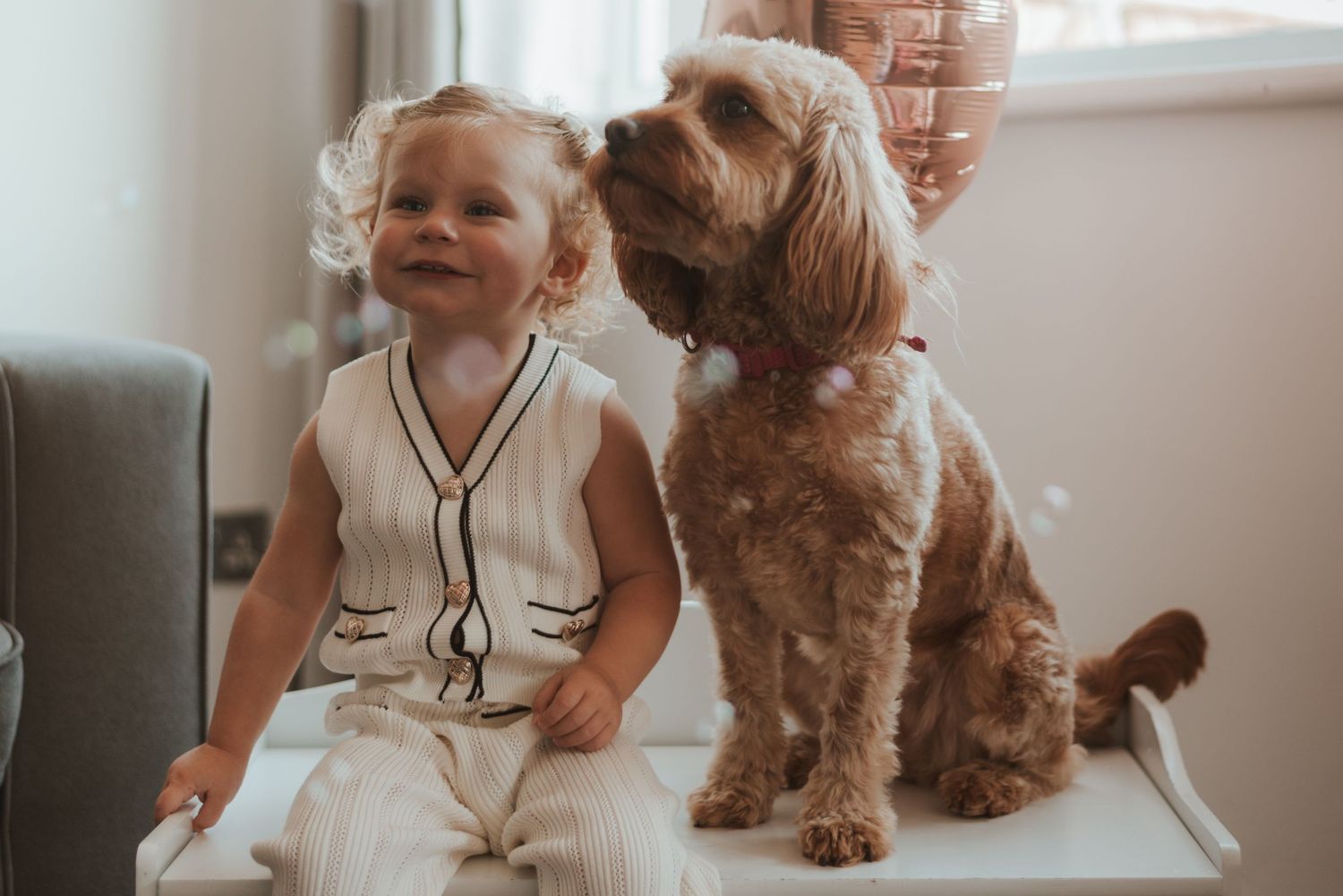 A fluffy brown dog sits next to child.