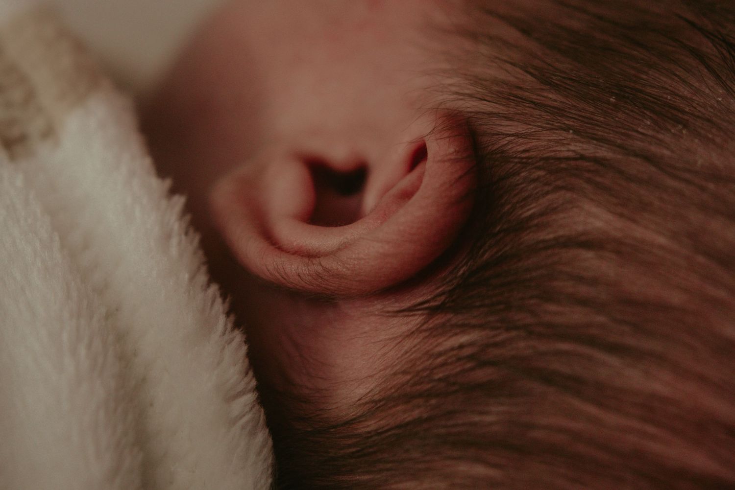 Close-up detail of soft fabric and gentle lighting in muted tones.