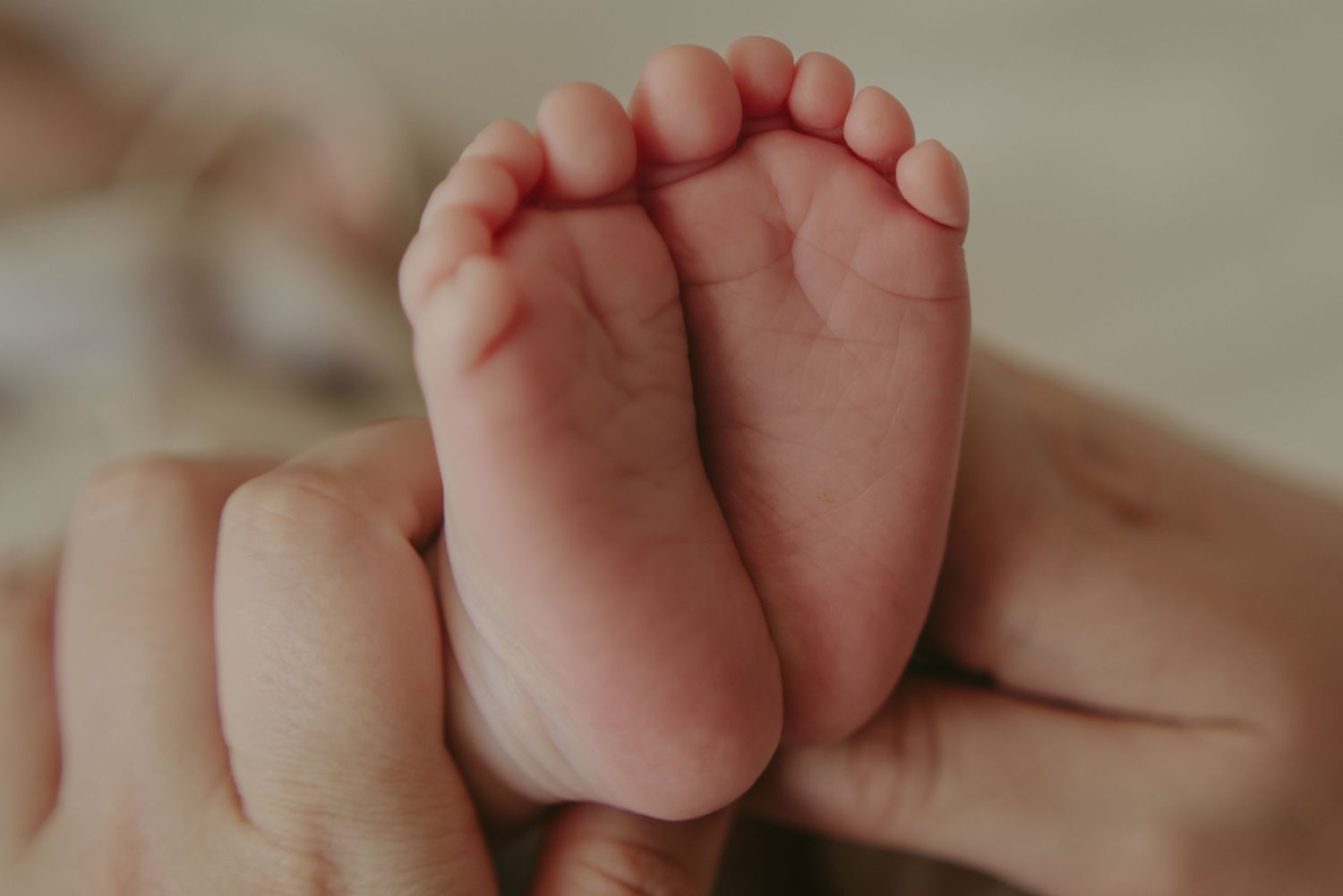Close-up of tiny newborn baby feet being gently held against light background.