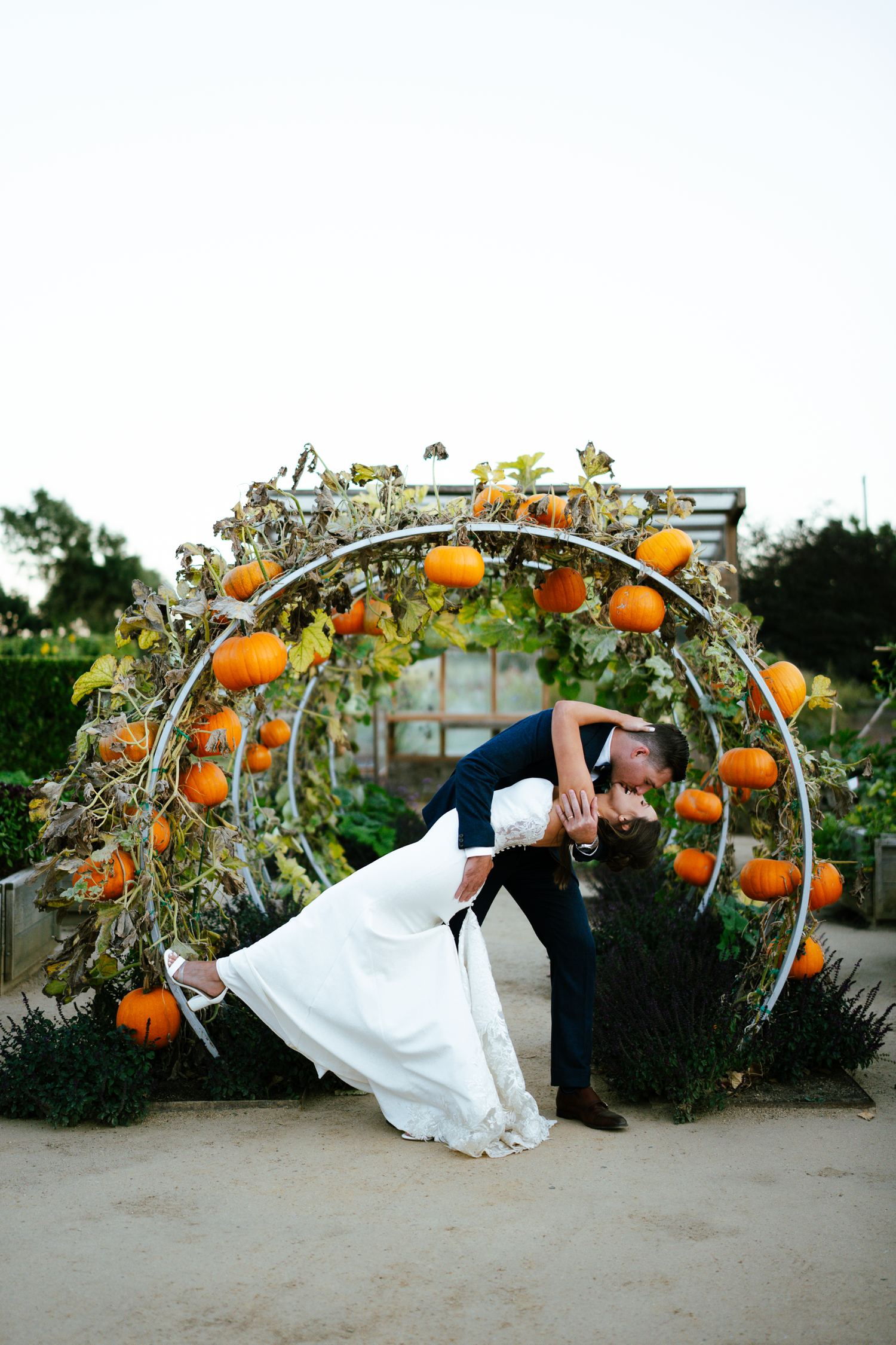 Wedding couple poses under an arch decorated with orange pumpkins in a garden setting at Cornerstone Sonoma.
