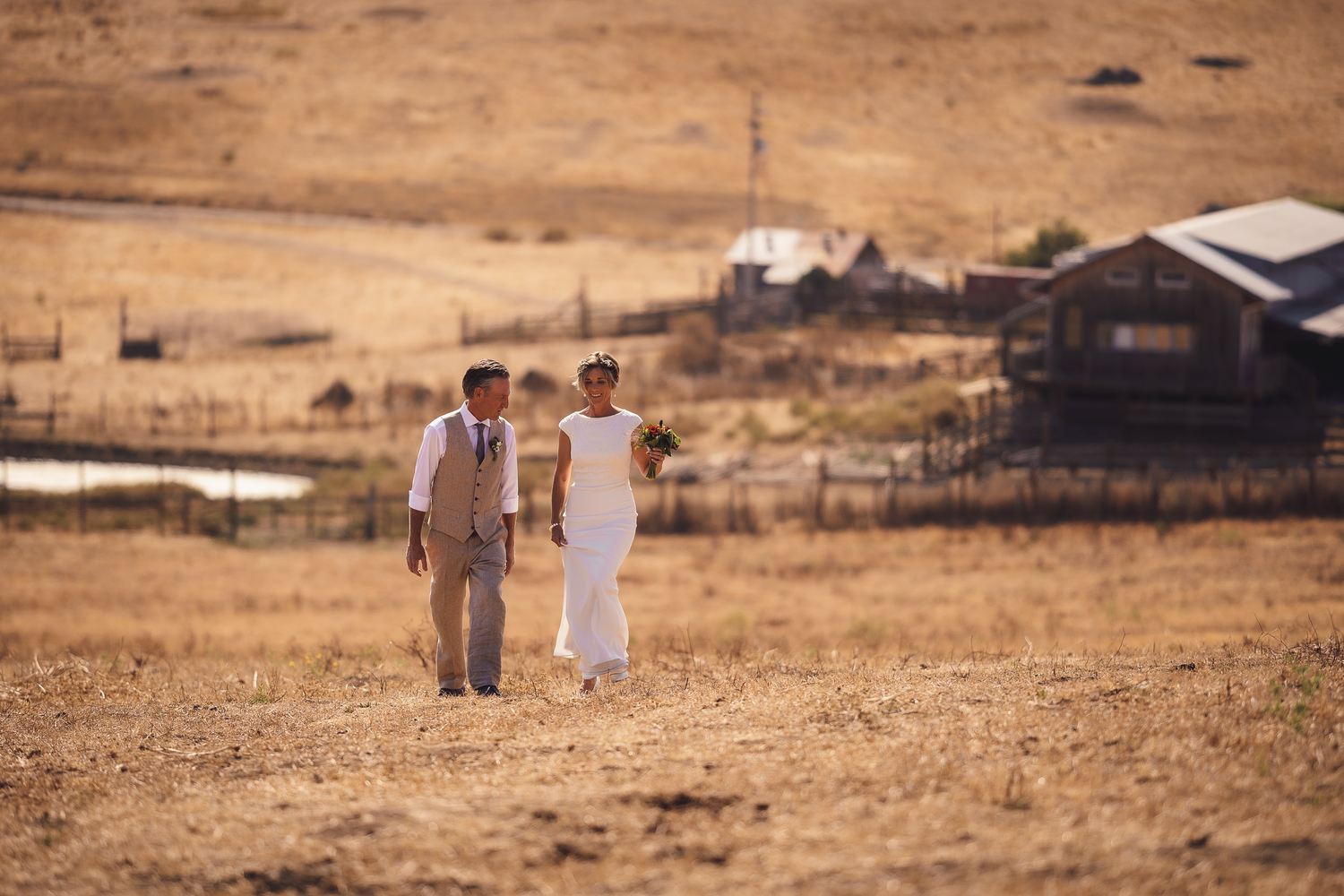 A couple walks together in a golden field at sunset during their outdoor wedding celebration at Cow-Track Ranch in Marin County.