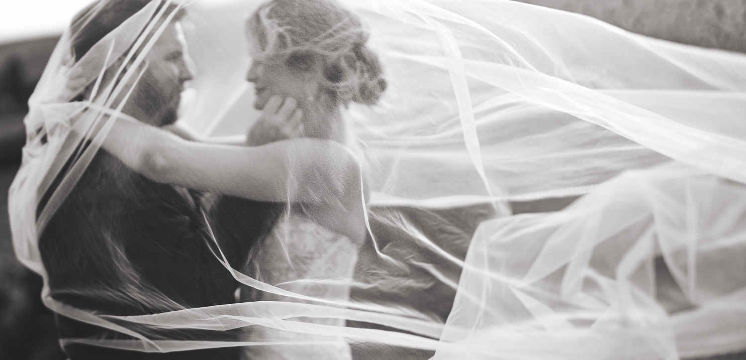 Bride and Groom under veil during sunset photo session. Black and White blurry veil photo at Olympia's Valley Estate in Petaluma.