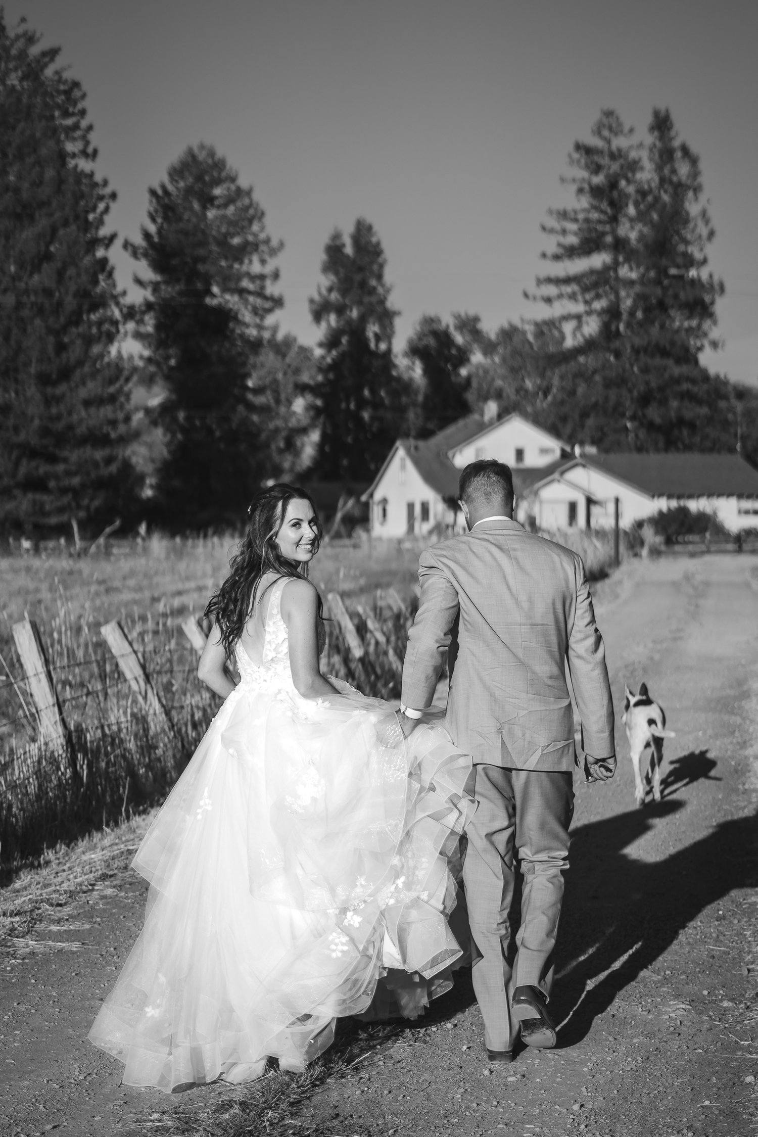 Black and white wedding photo of a couple walking together on a rural path in Sonoma.