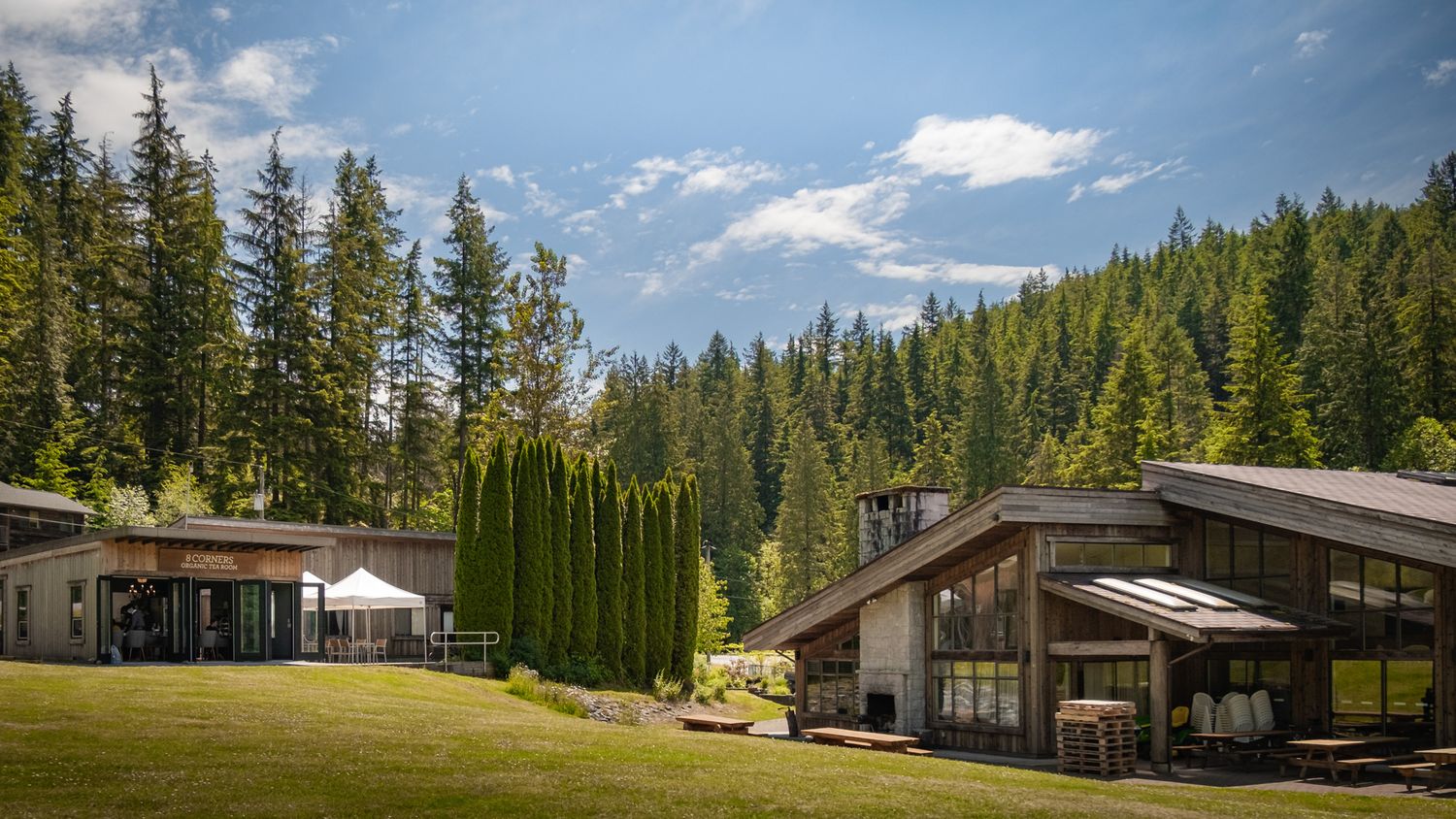 Mountain vacation homes nestled among tall pine trees under blue summer sky.