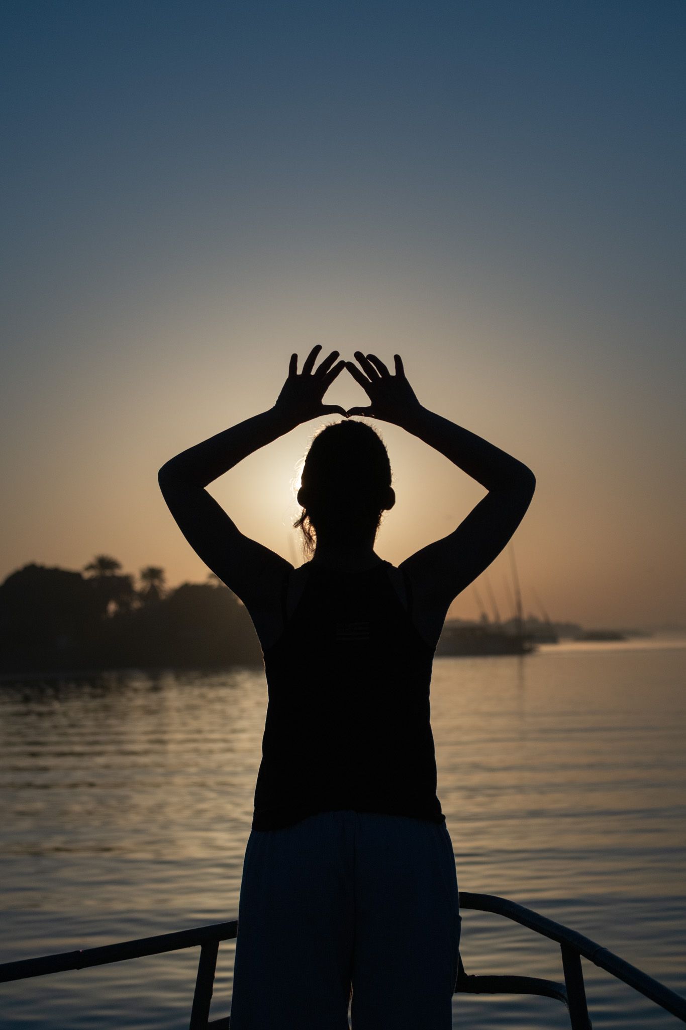 Silhouetted figure making gestures against sunset over water.