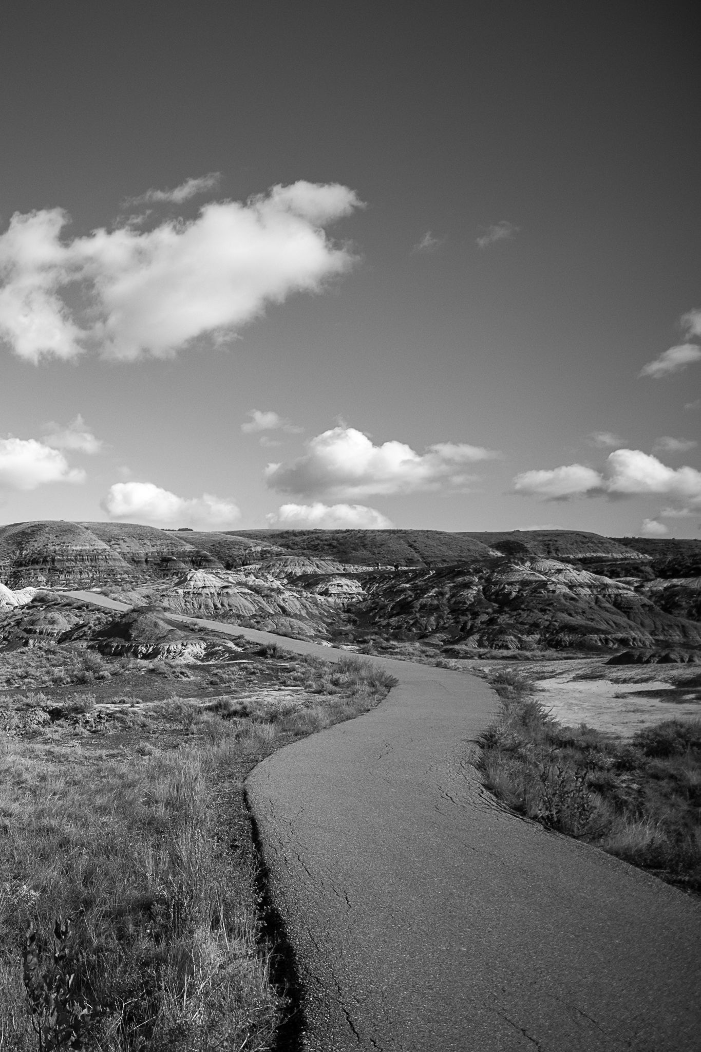 Black and white landscape of winding path through rugged badlands terrain.