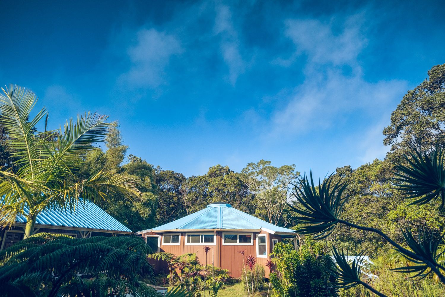 White tropical house with palm trees against vibrant blue sky in lush forest setting.