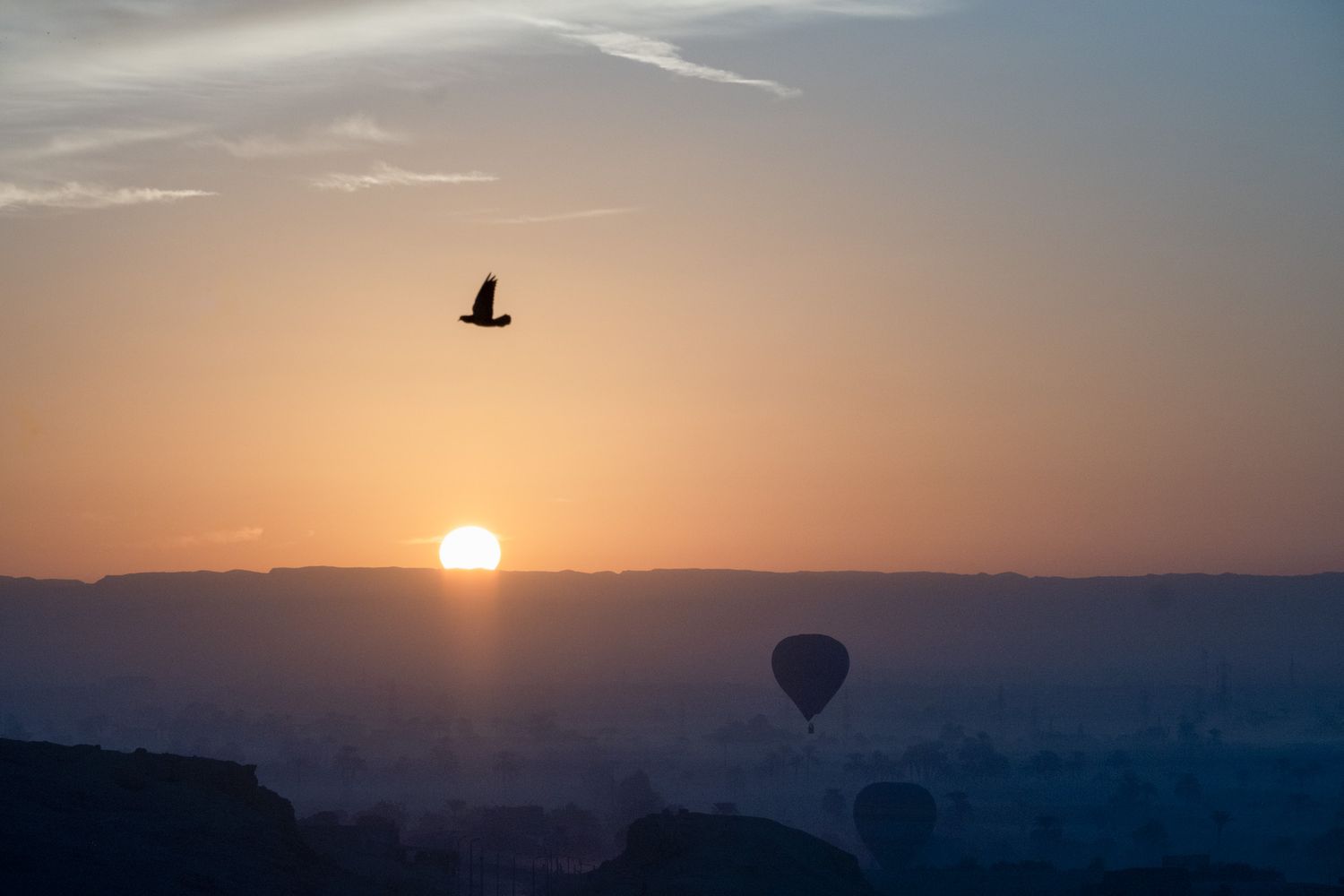 Birds flying across a panoramic sunset sky with hot air balloon silhouette.