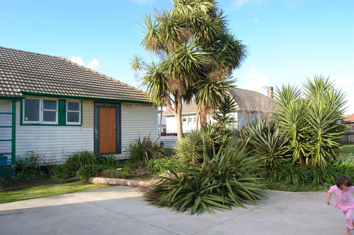 Single story house exterior with palm trees and landscaping in the front yard.