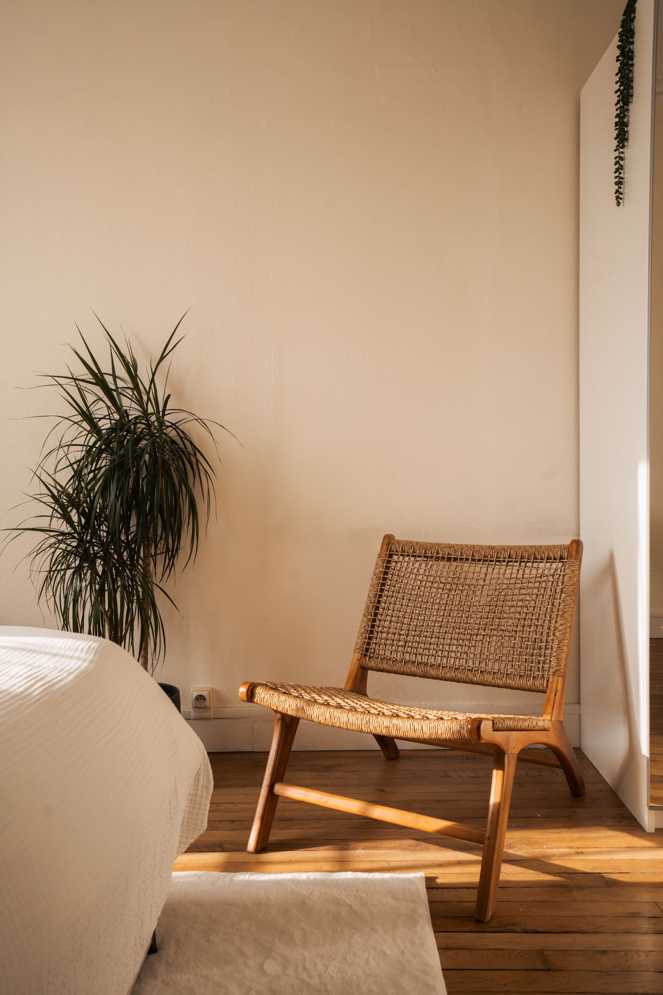 Minimal bedroom corner with rattan lounge chair, indoor palm plant, and warm sunlight on hardwood floors.