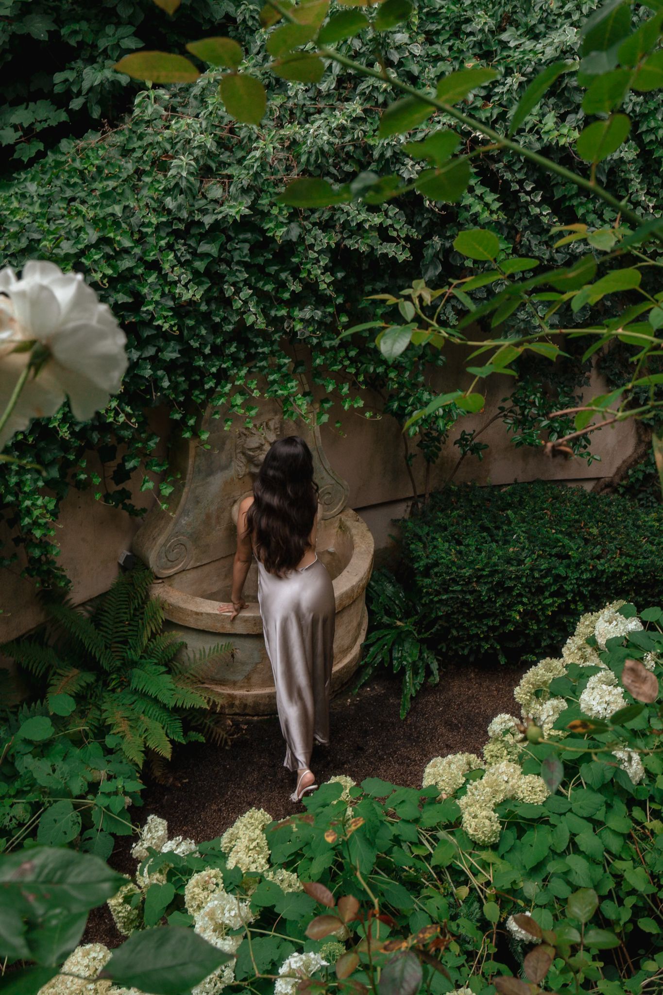 Four sequential garden photos show a person in a black dress amid lush greenery and white hydrangea blooms.