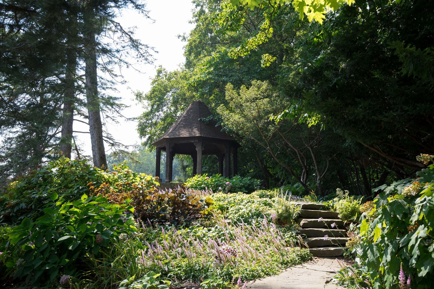 Scenic garden pathway lined with lush greenery and tall trees leading to a wooden structure.