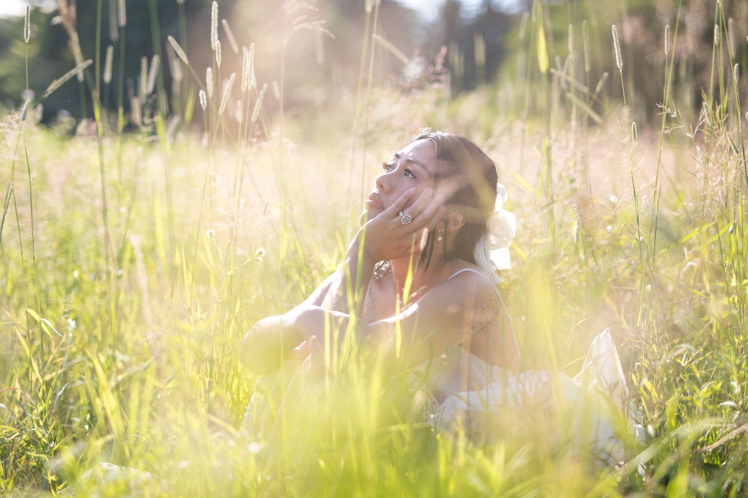 A dreamy summer scene in a sunlit meadow with tall grass swaying in the golden afternoon light.