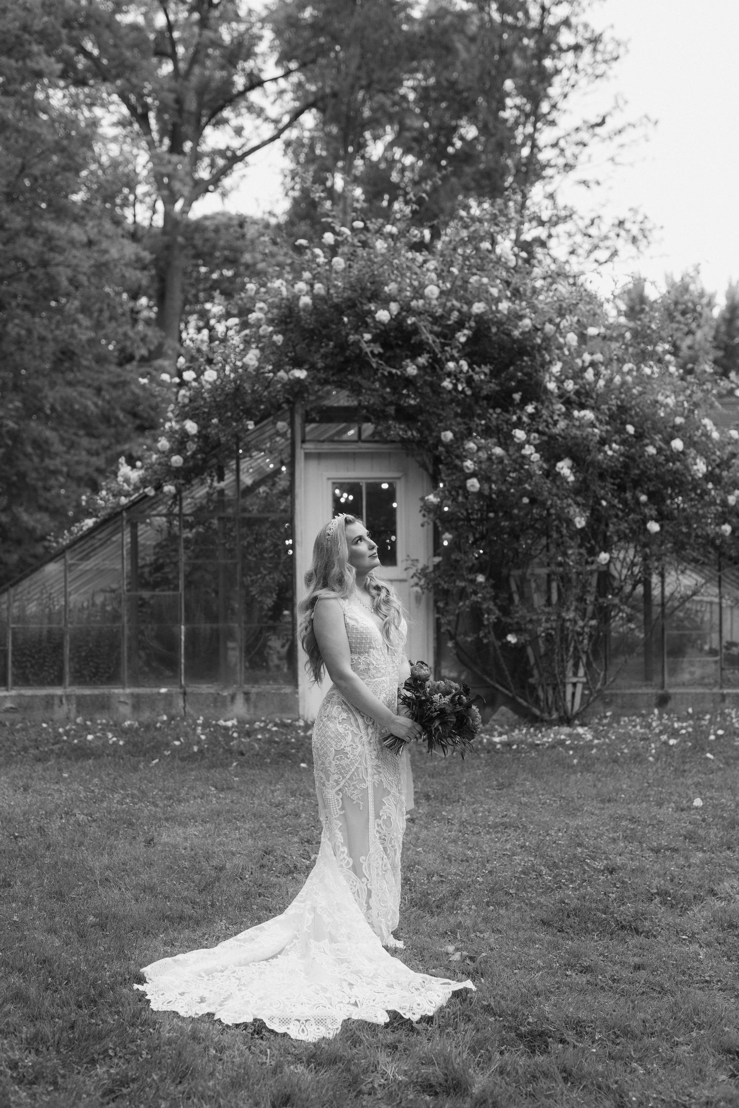 A tranquil garden scene with blooming white roses and lush greenery against a natural backdrop.