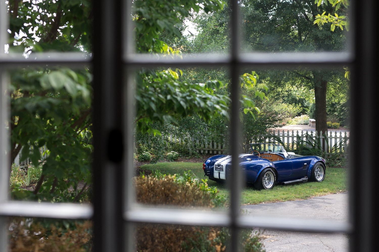 View through metal bars of a paved driveway with lush green trees and bushes in a residential setting.