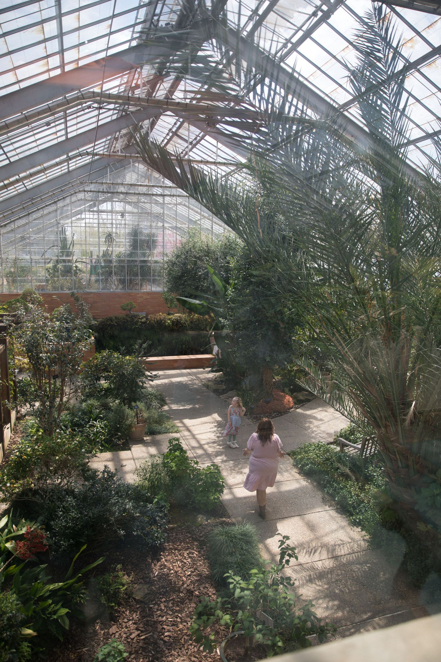 Two visitors walk along a sunlit path inside a lush botanical garden greenhouse with towering palms.