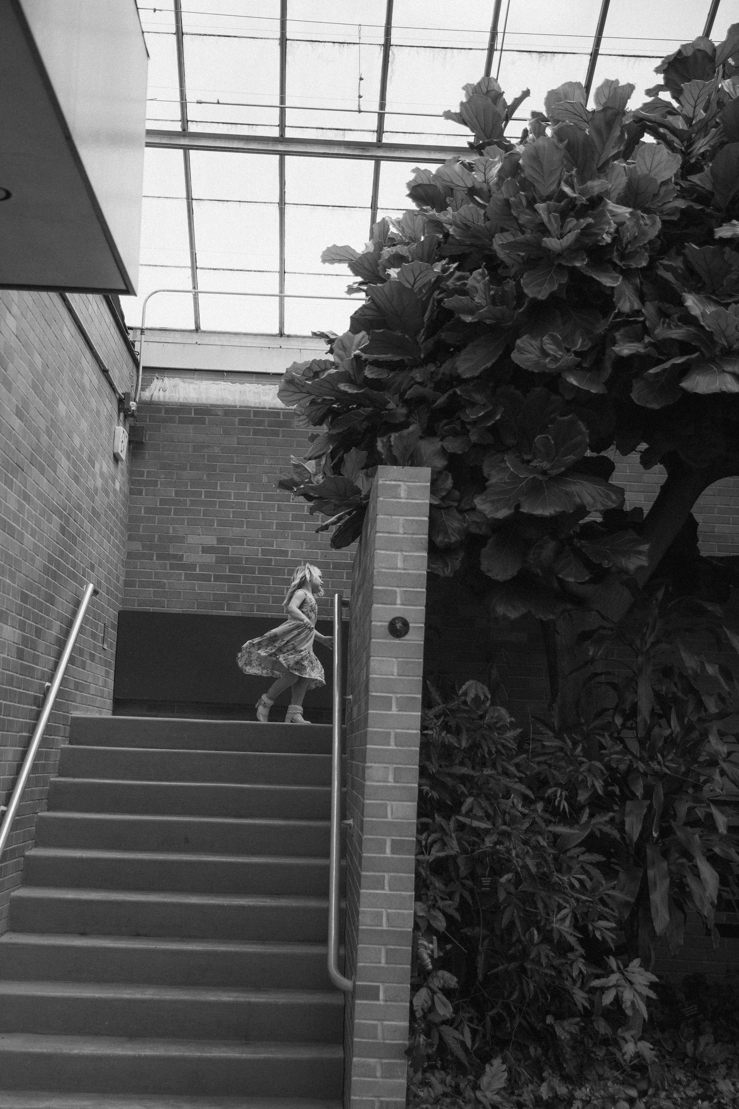 Black and white photo of a woman in a floral dress ascending stairs beside a large leafy plant in a skylit building.