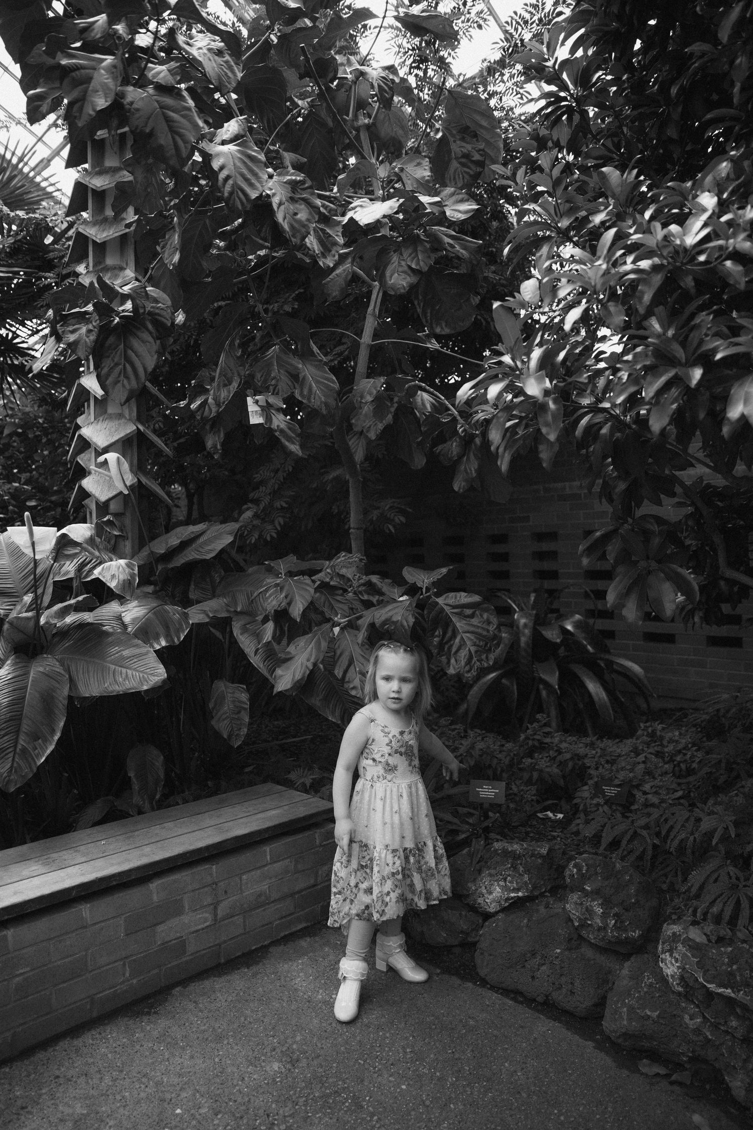 Black and white photo of a young girl in a floral dress standing among lush tropical plants in a greenhouse garden.