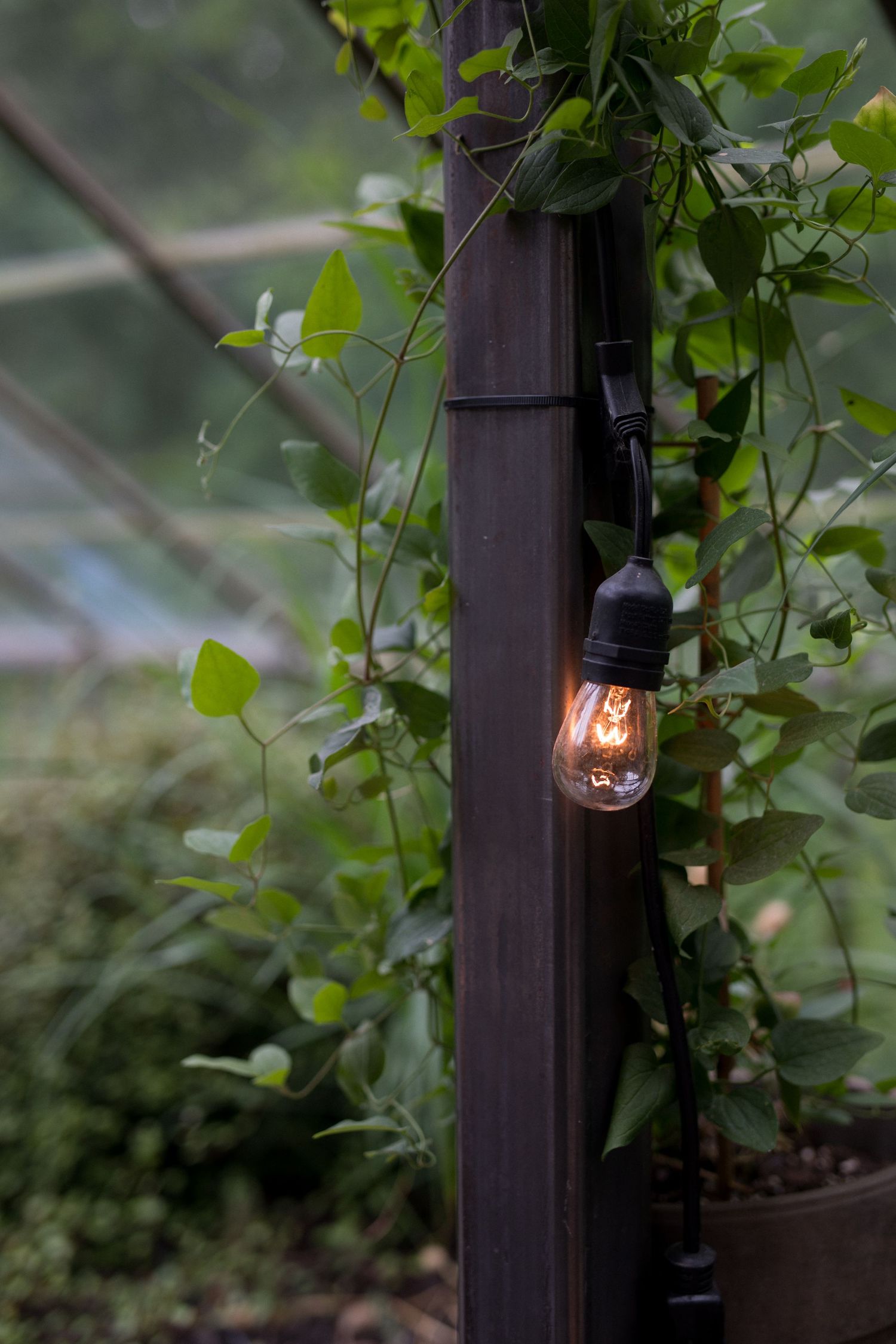 Decorative outdoor lighting fixtures mounted on dark posts with green foliage creating an ambient garden atmosphere.