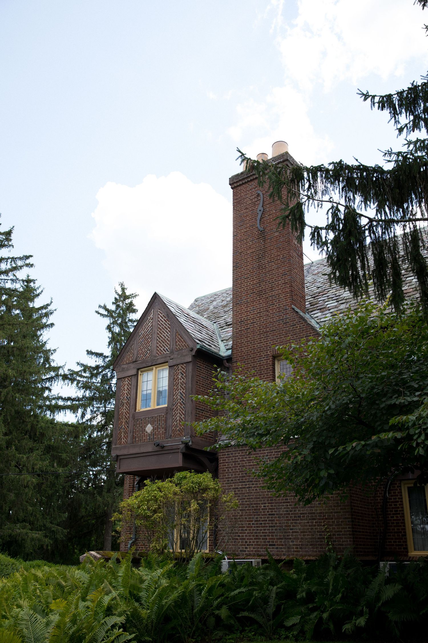 Brick townhouses with tall chimneys and evergreen trees stand against a cloudy sky in a residential neighborhood.