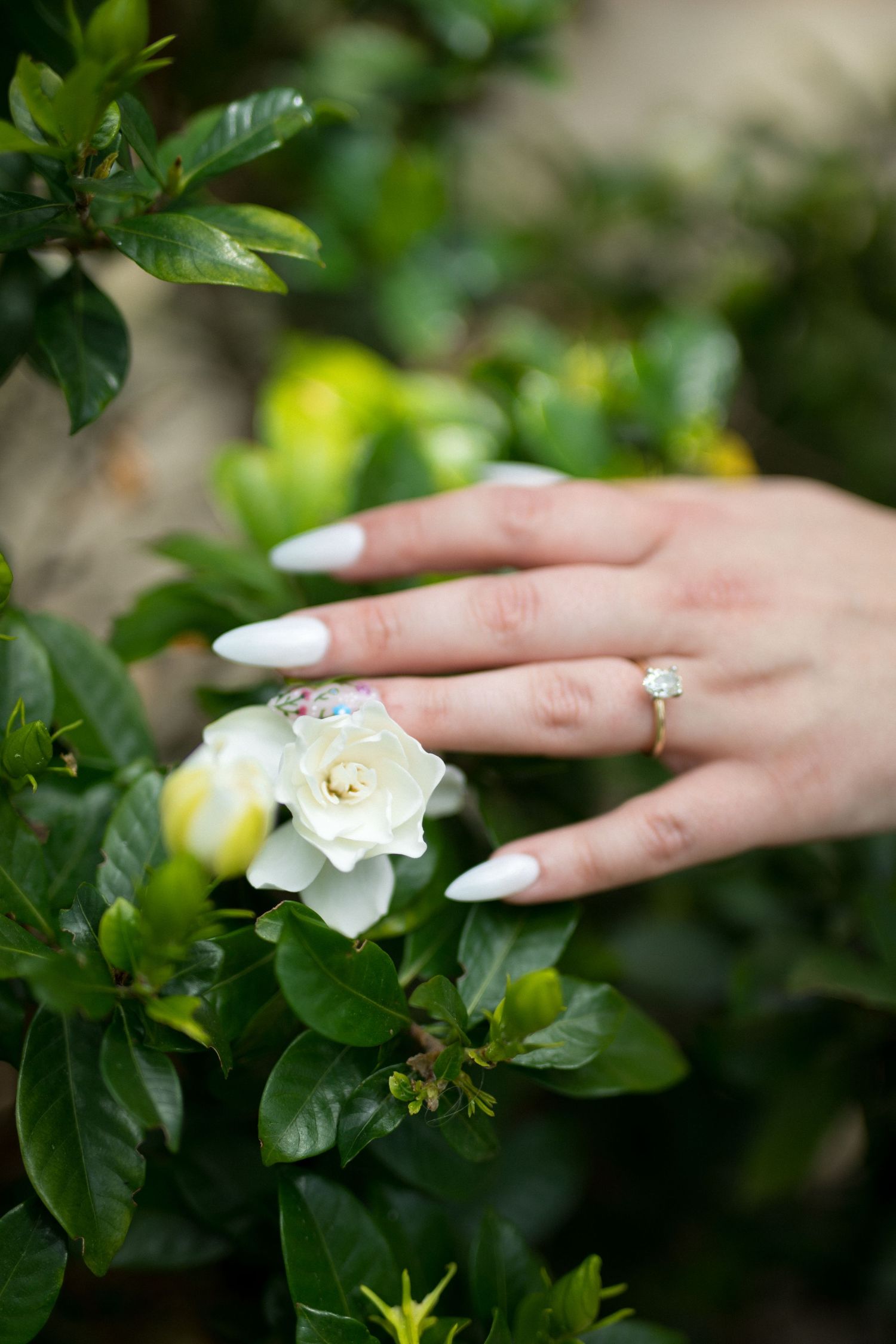 A hand with white manicured nails and an engagement ring reaches towards a delicate white flower in a garden setting.