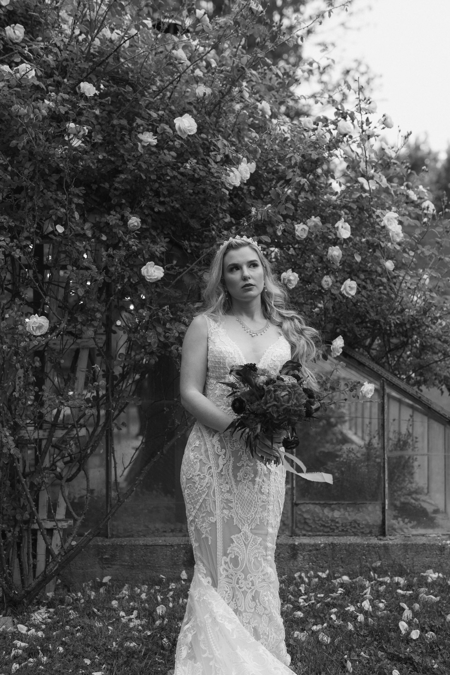 A figure in a white lace wedding dress stands among blooming rose bushes in a garden setting.