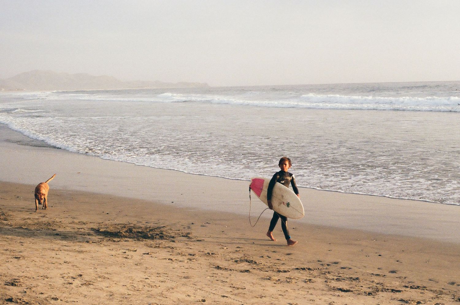 Surfing with the dogs