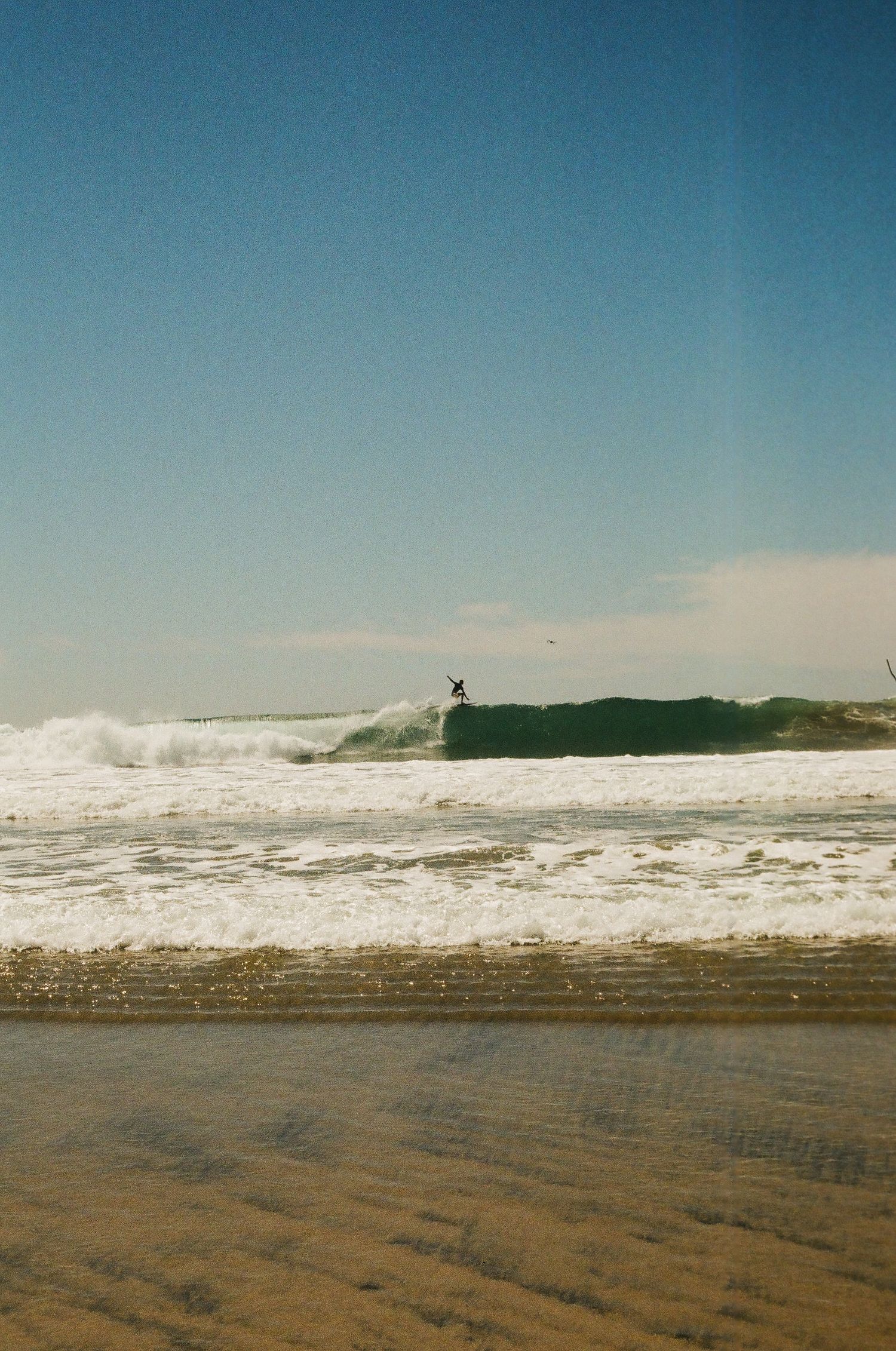 Baja Surfer