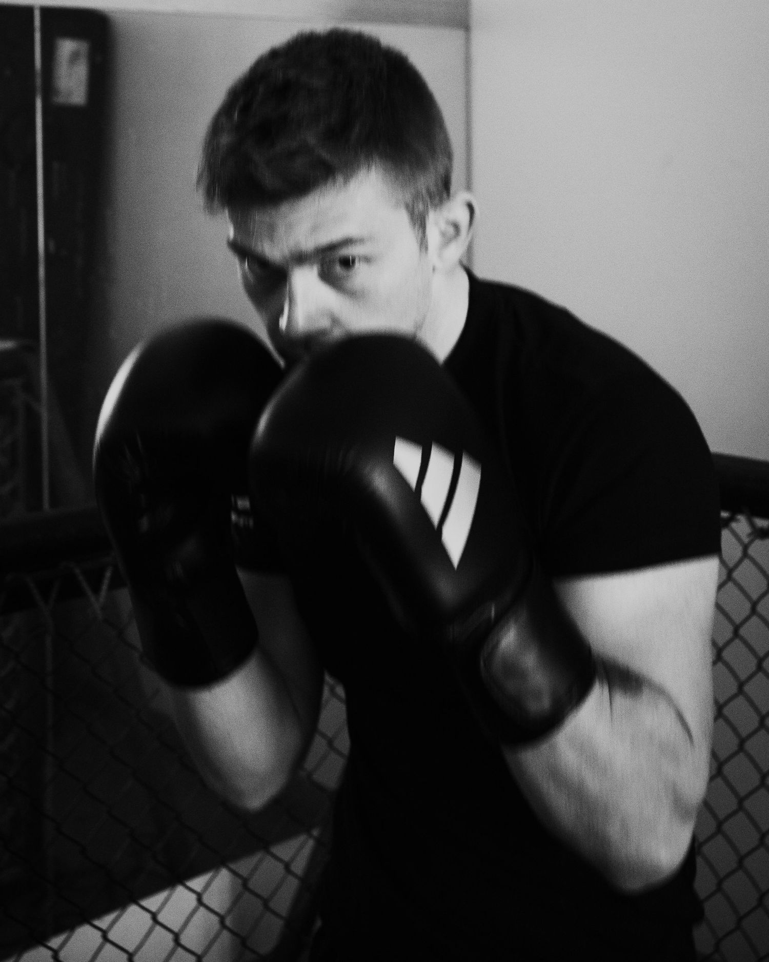 Photograph of Adidas Combat Sports by studio sale.